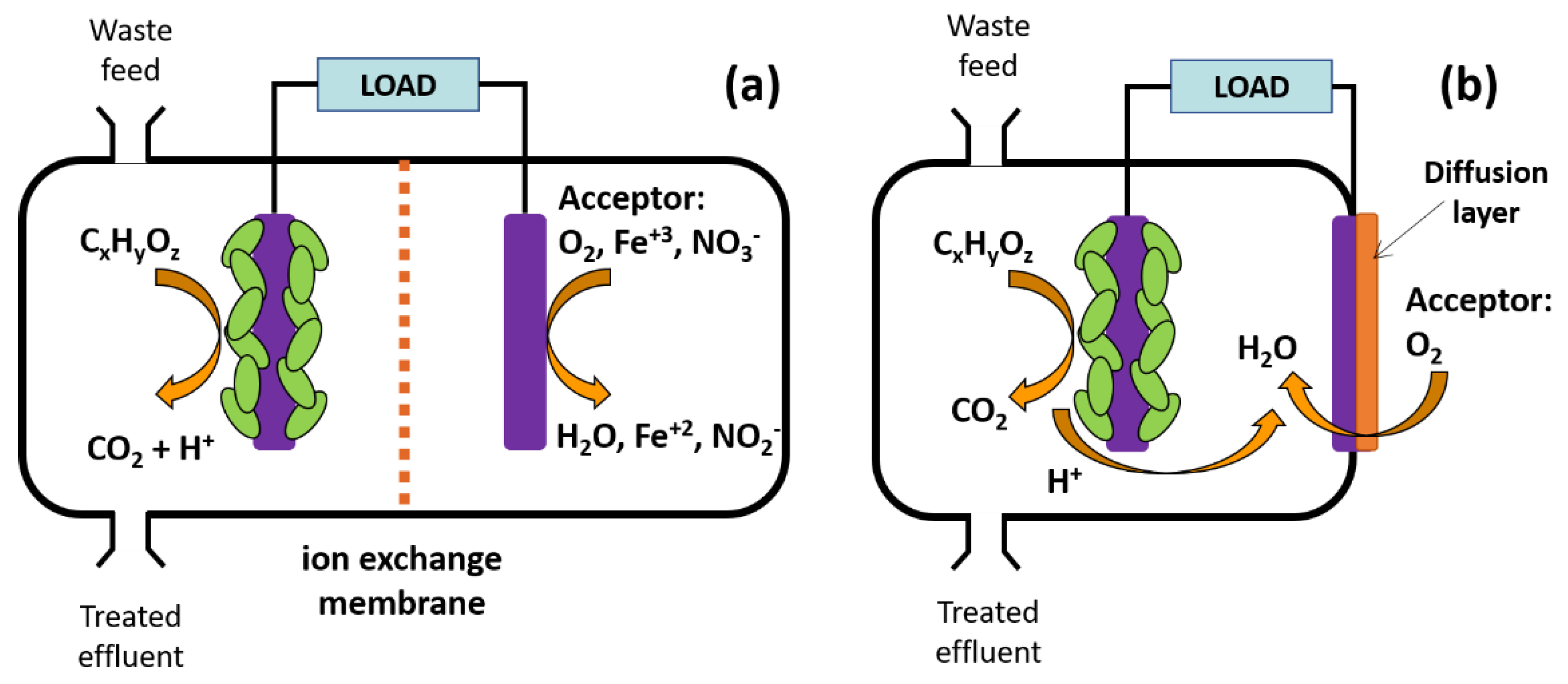 Molecules 26 04755 g001 550