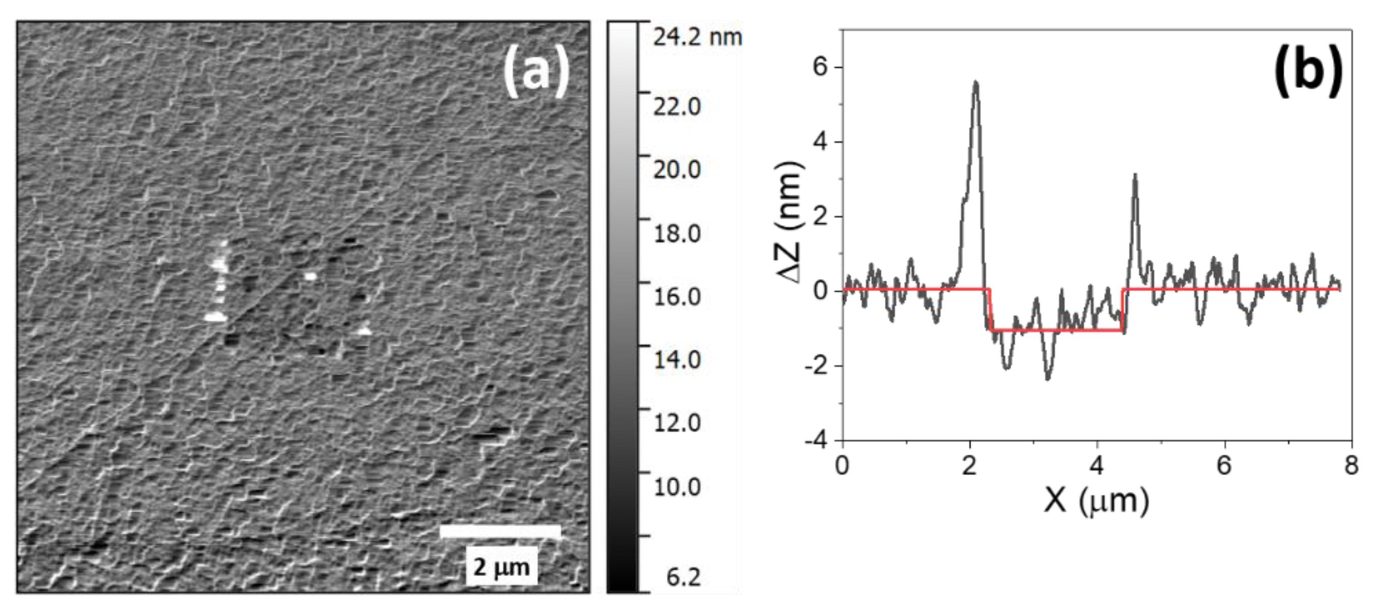 Molecules 26 04755 g003 550