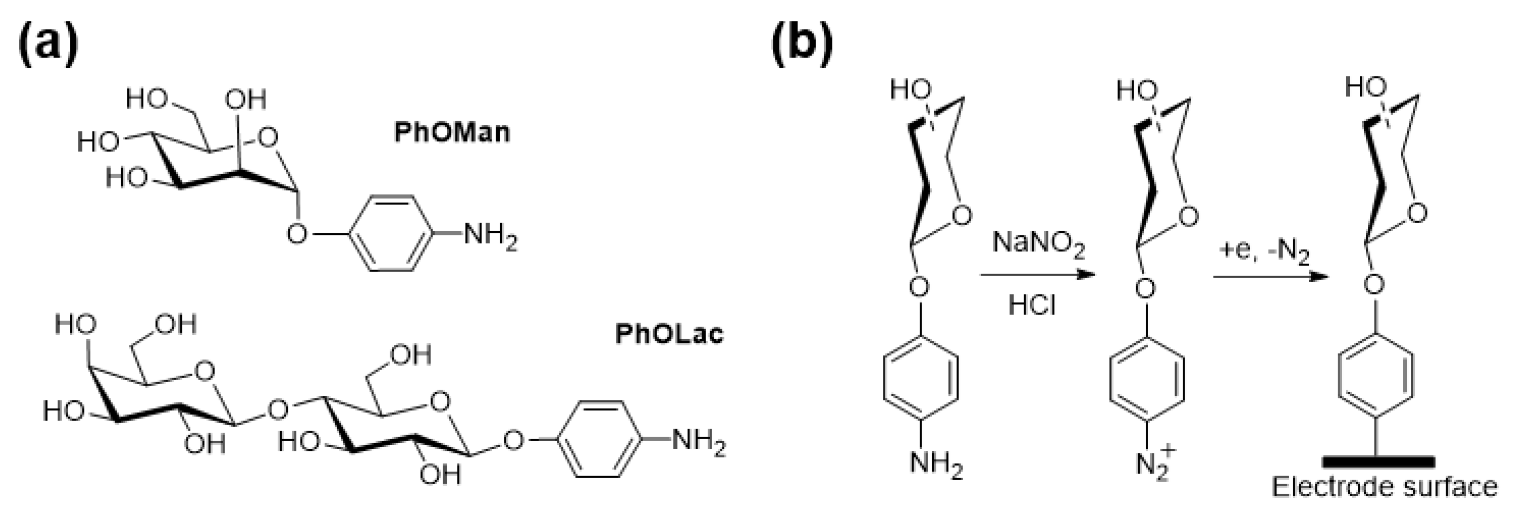 Molecules 26 04755 sch001 550