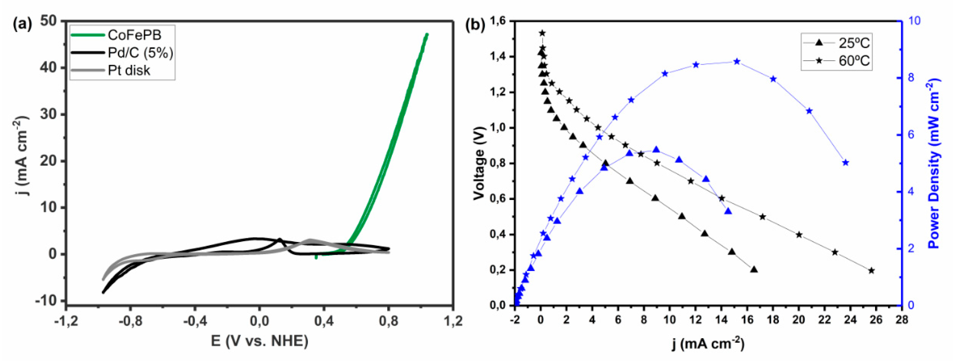 Molecules 26 04756 g011 550