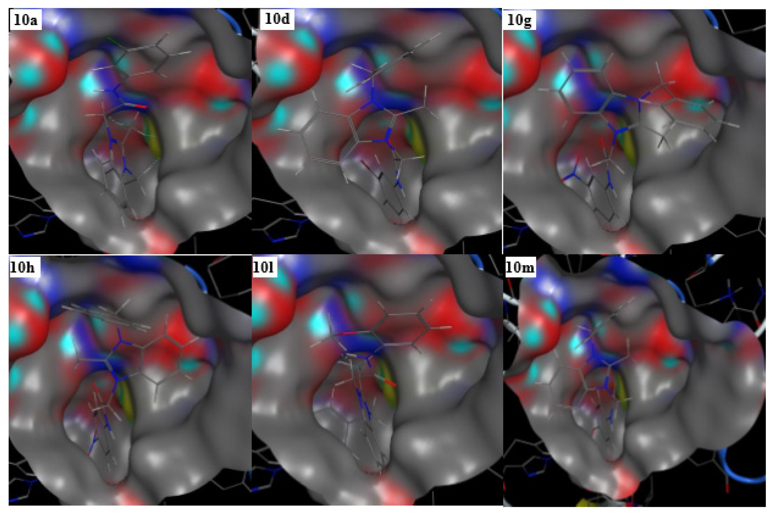 Molecules 26 04760 g003