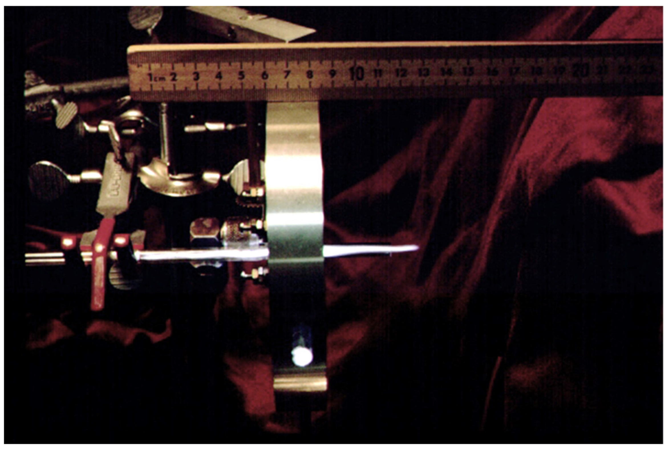 Molecules 26 04761 g001