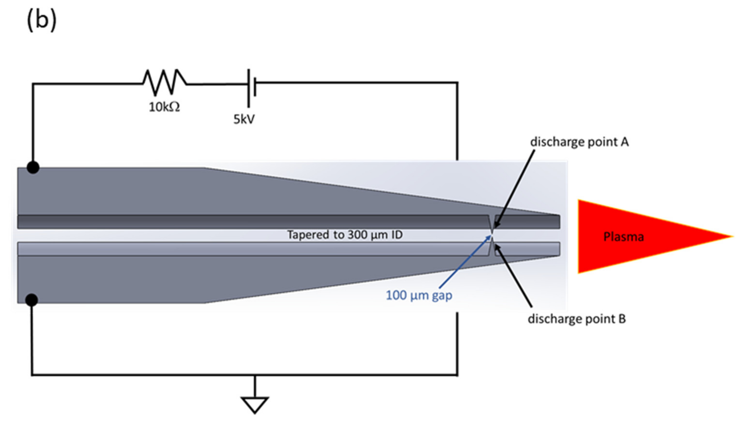 Molecules 26 04761 g002b