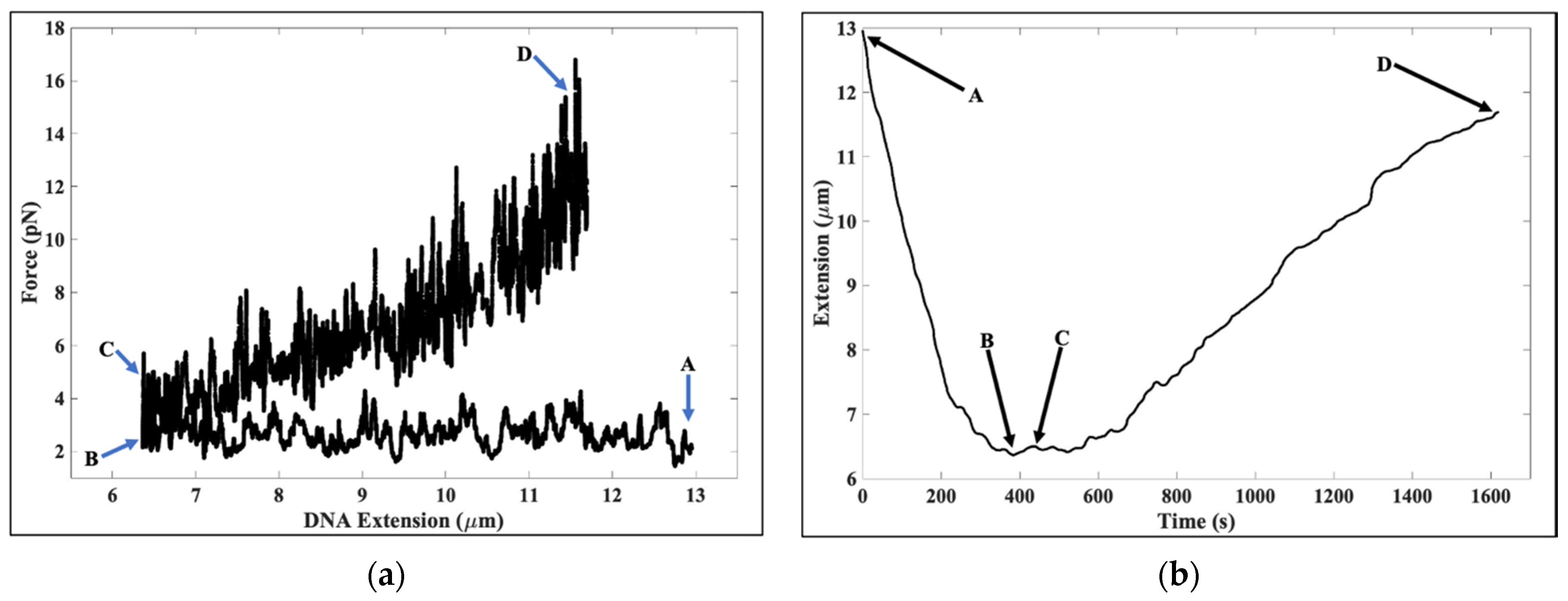 Molecules 26 04781 g002