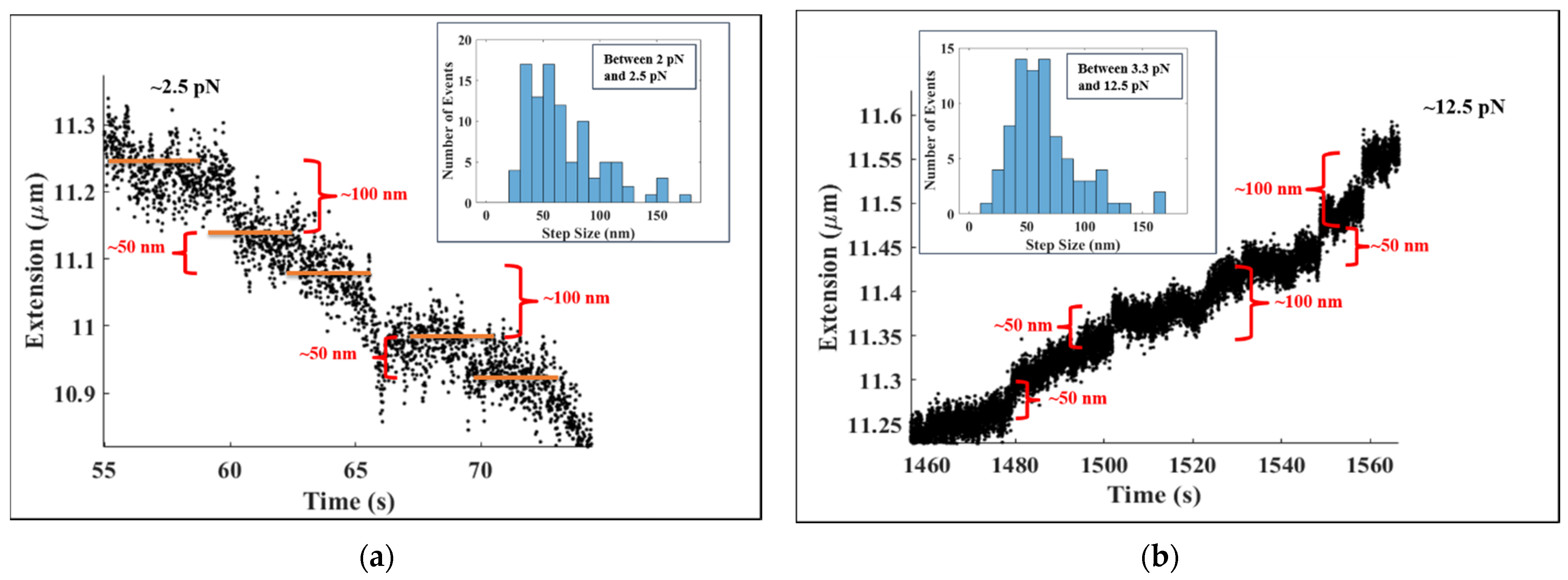 Molecules 26 04781 g003