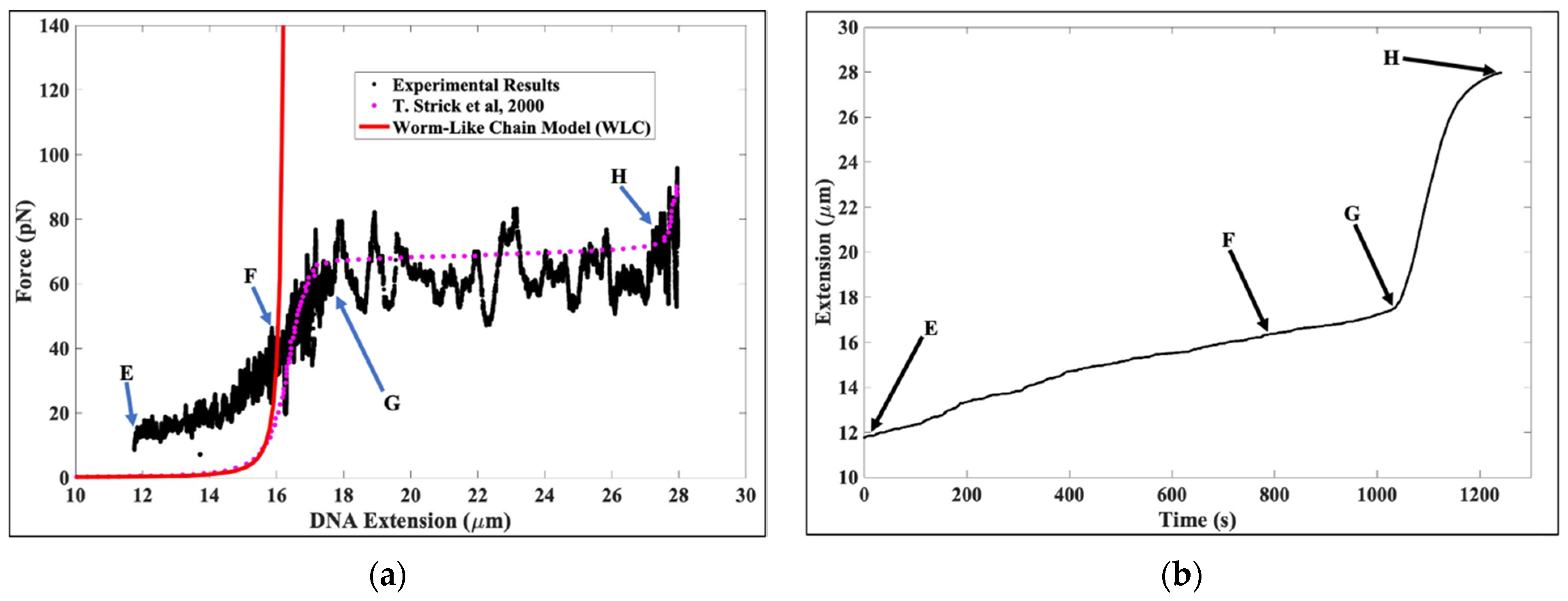 Molecules 26 04781 g004