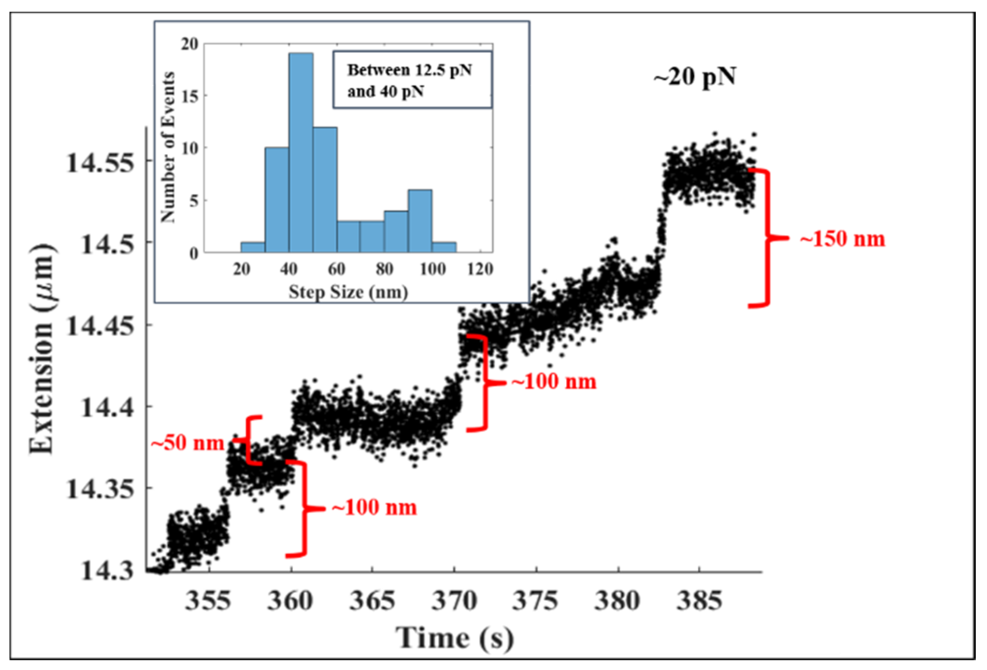Molecules 26 04781 g005