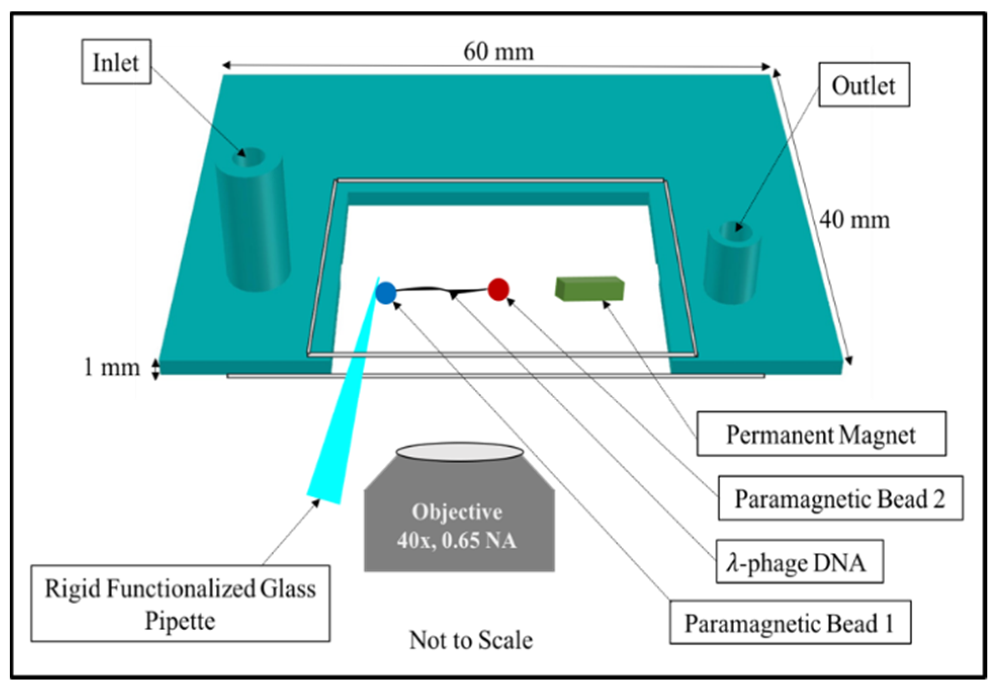 Molecules 26 04781 g007