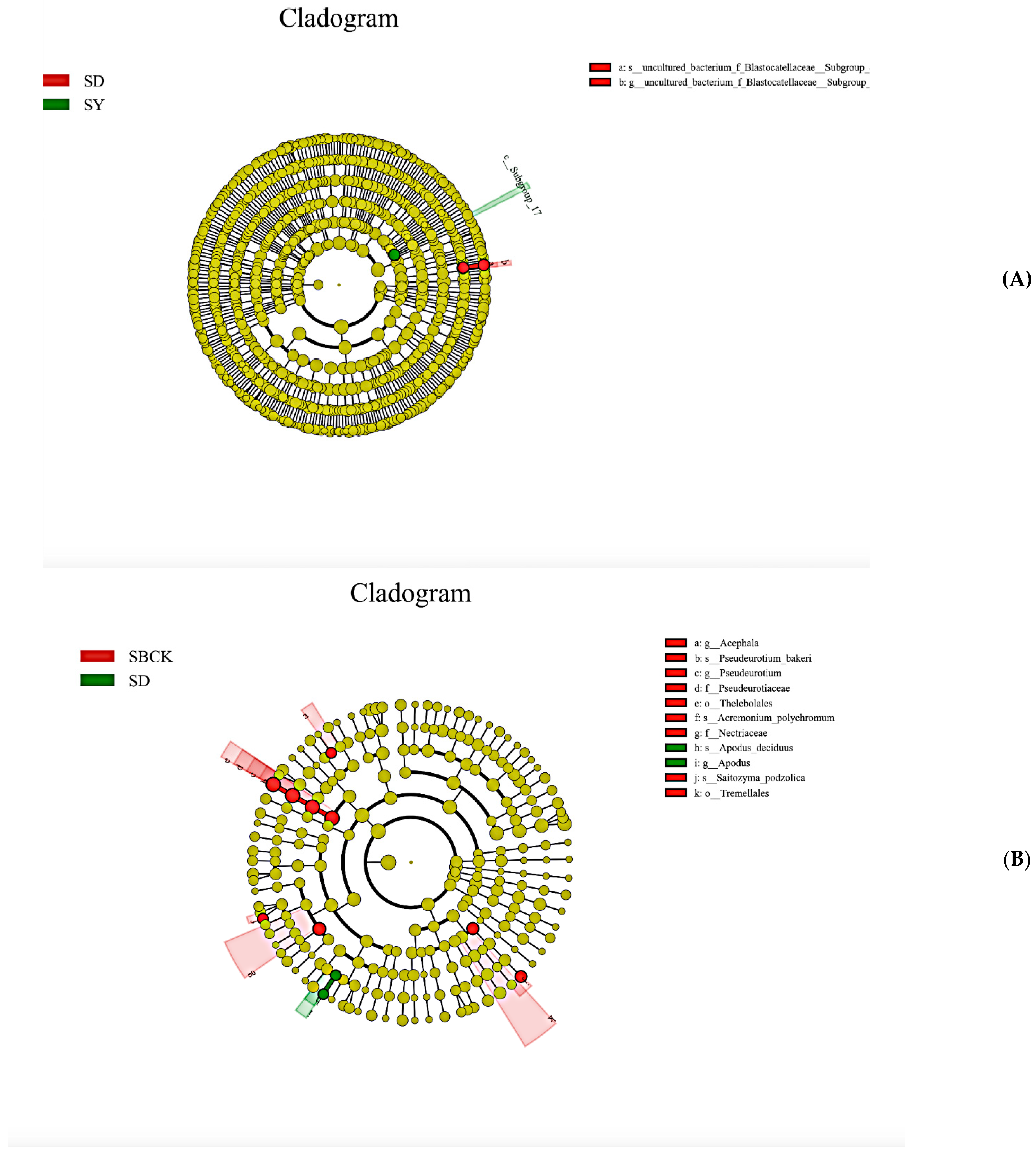 Molecules 26 04783 g004