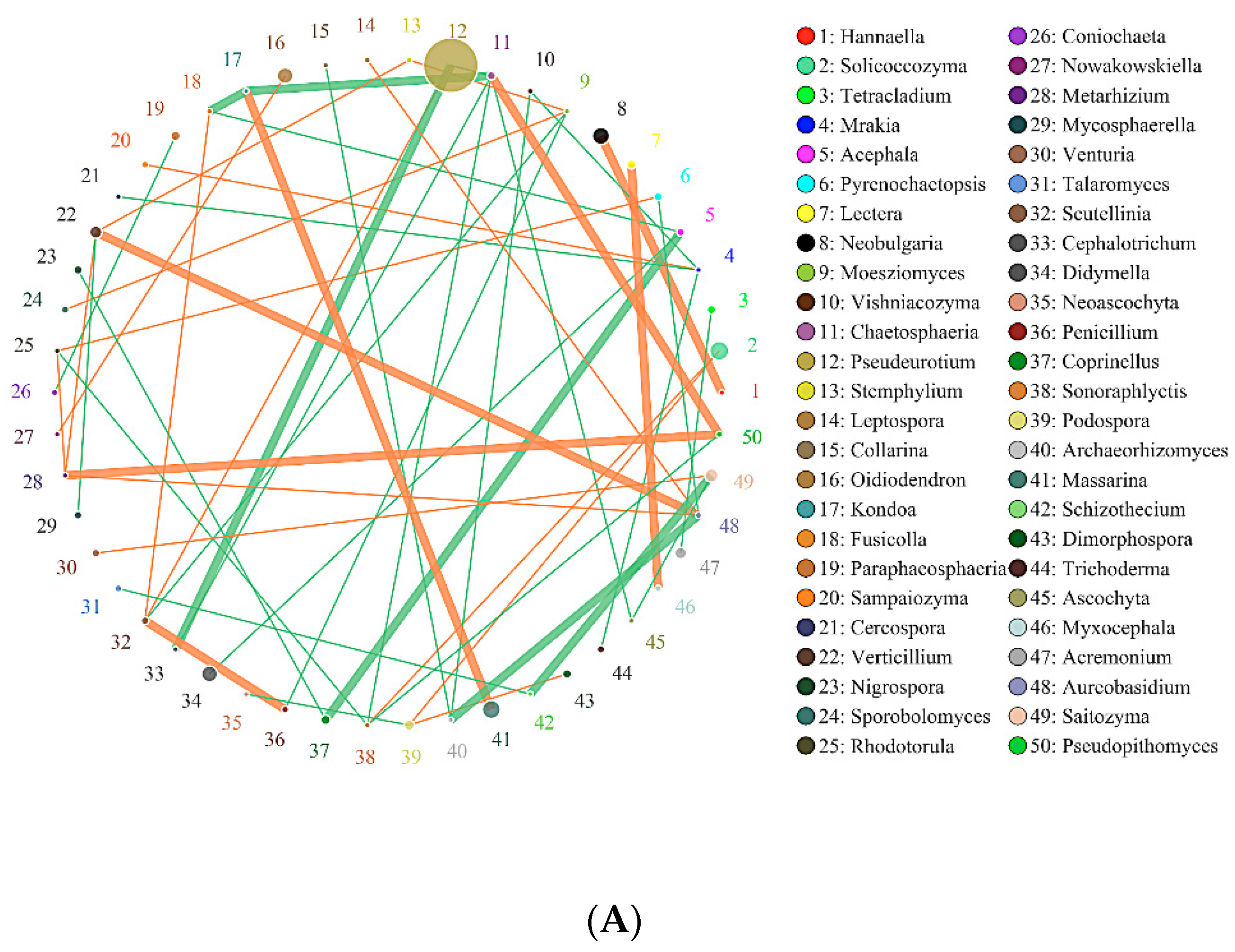 Molecules 26 04783 g007a