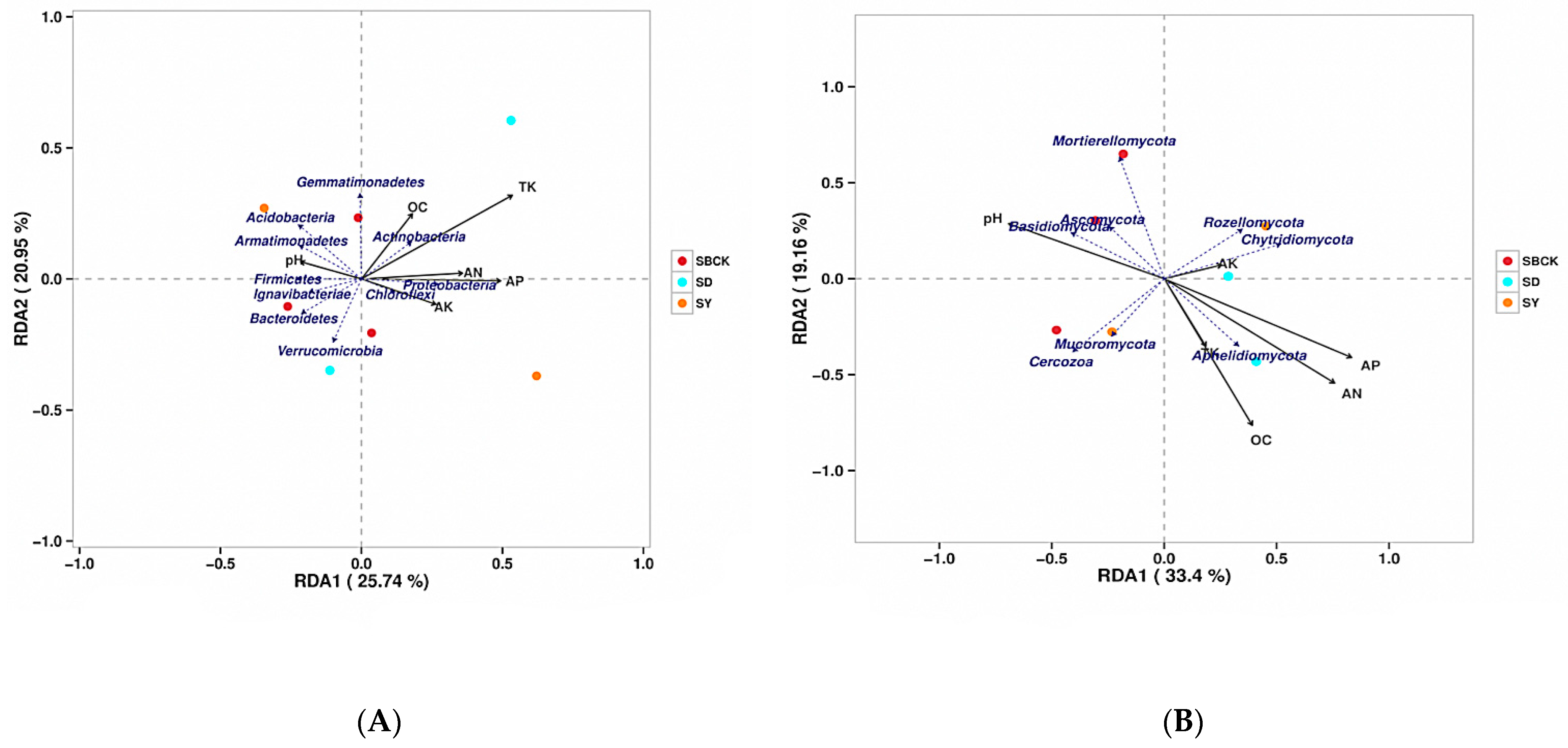 Molecules 26 04783 g008
