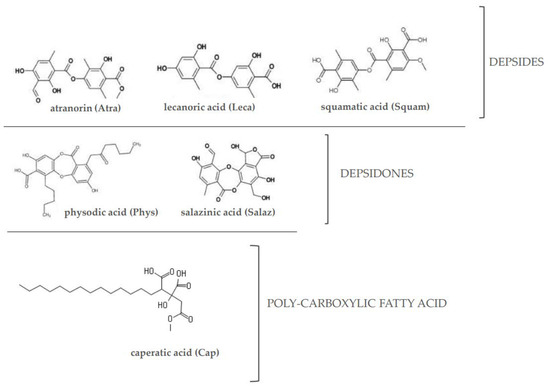 Lichen-Derived Depsides and Depsidones Modulate the Nrf2, NF