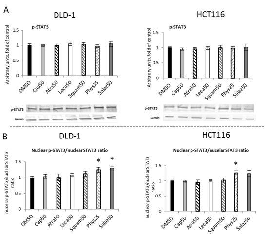 Lichen-Derived Depsides and Depsidones Modulate the Nrf2, NF