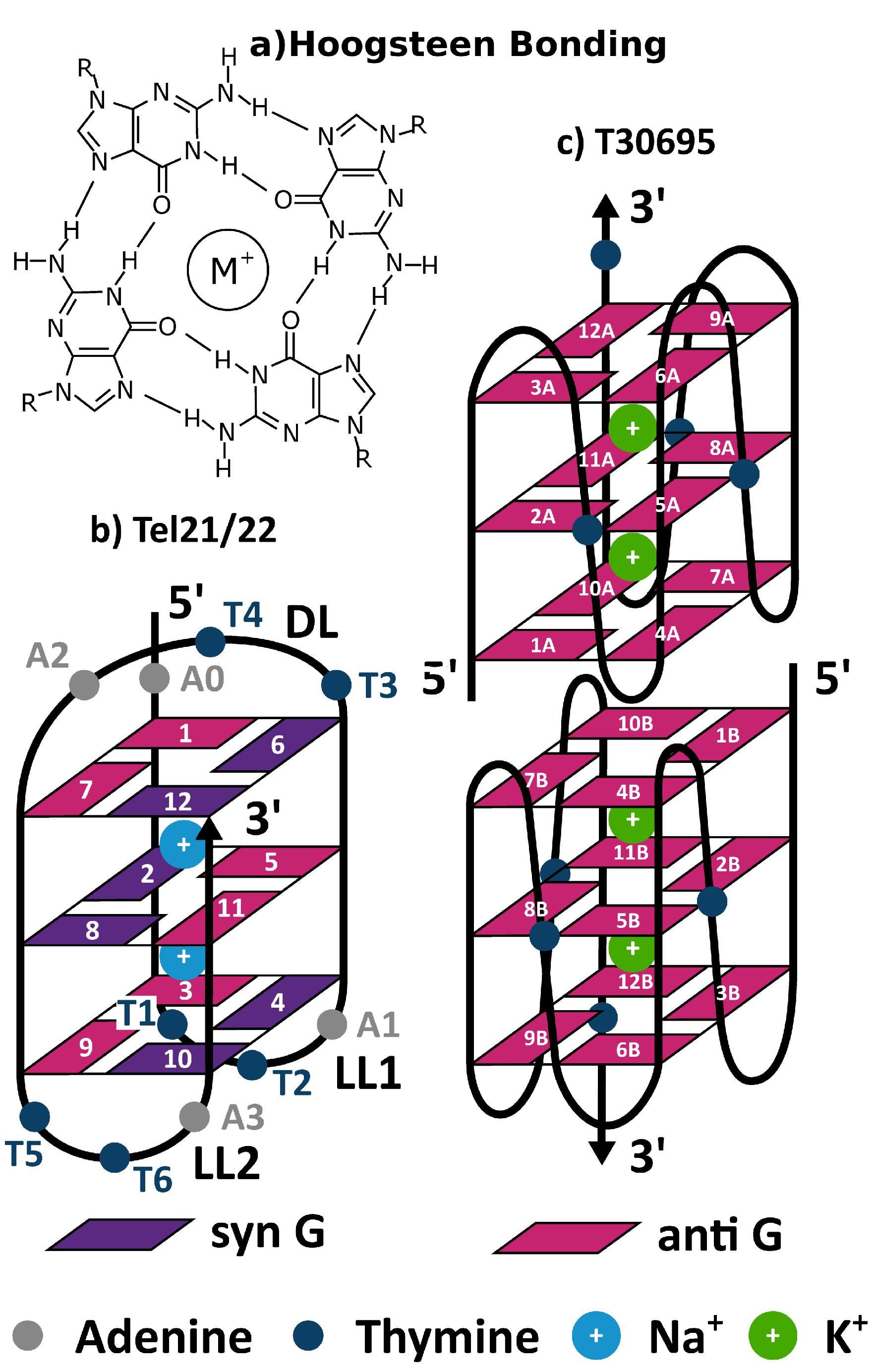 Molecules 26 04789 g001