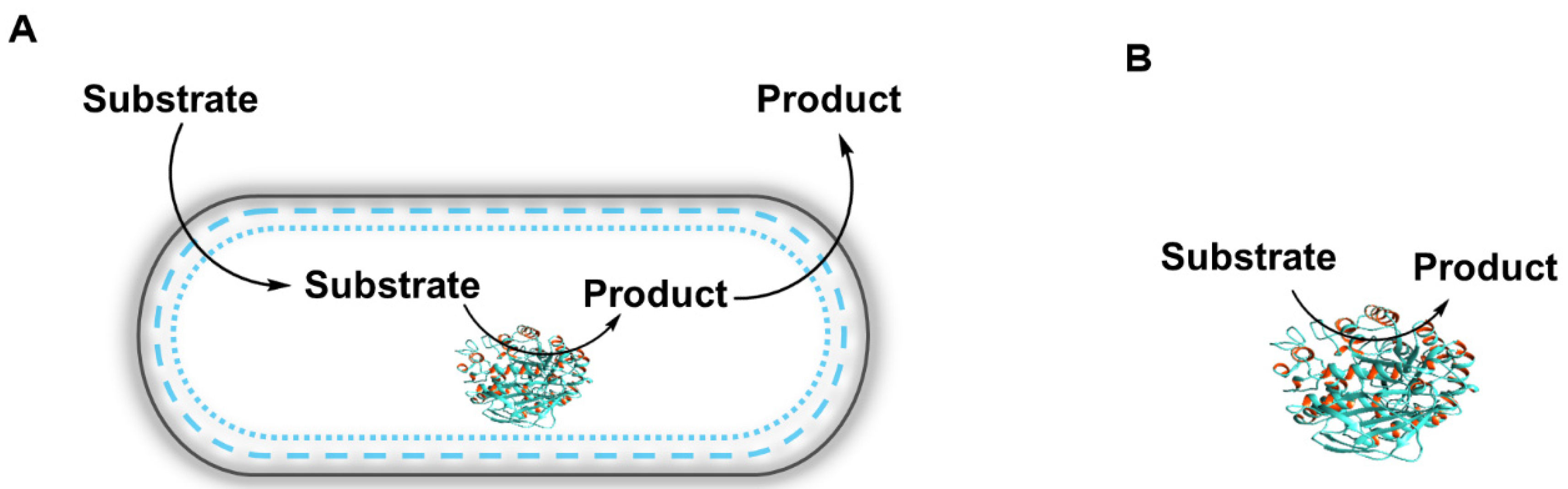 Molecules 26 04791 g003