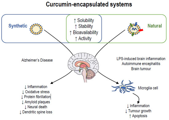 【am】 Telomeres, telomerase, and cancer: mechanisms, biomarkers