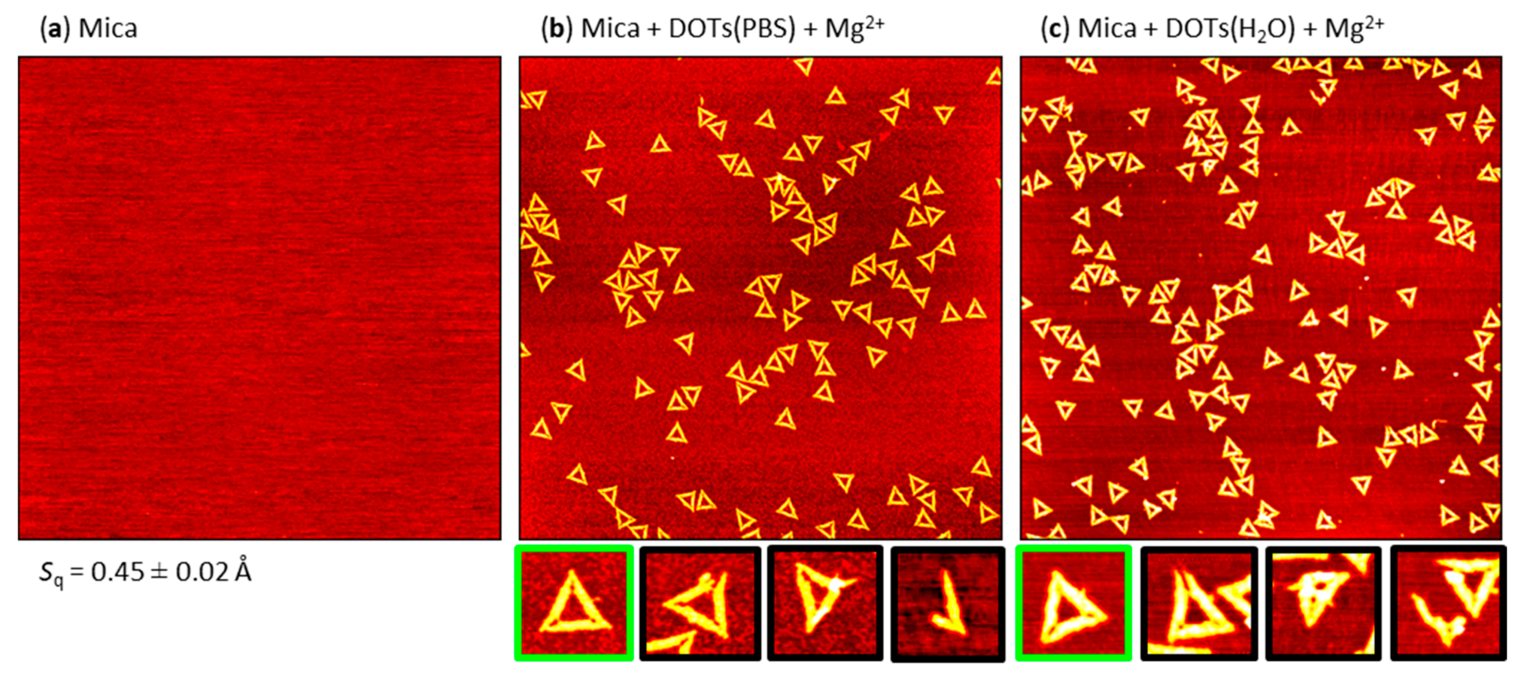 Molecules 26 04798 g002 550