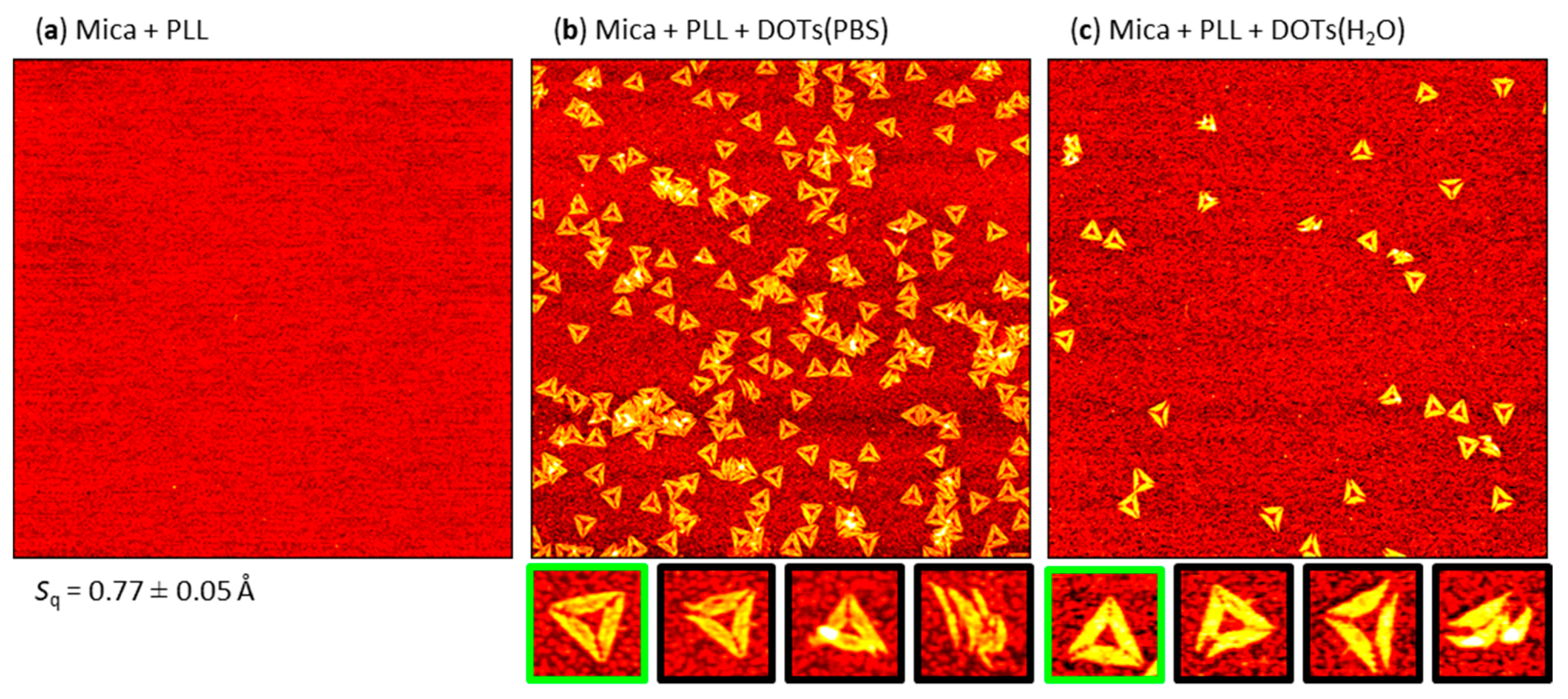 Molecules 26 04798 g005 550