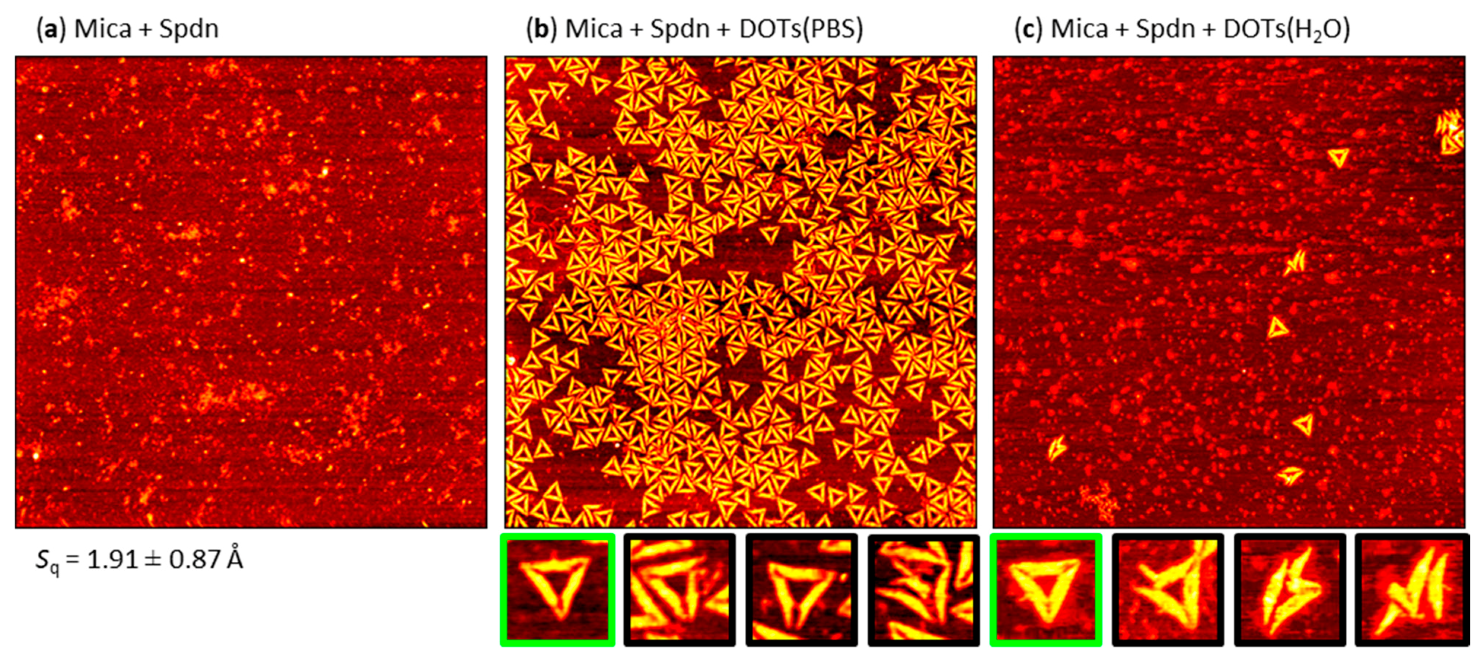 Molecules 26 04798 g006 550