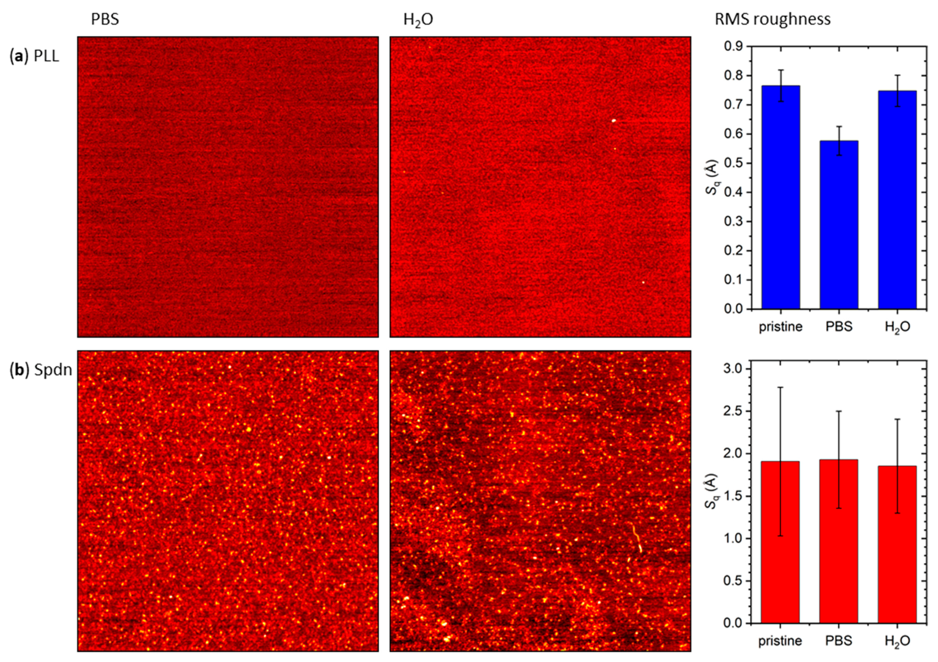 Molecules 26 04798 g007 550