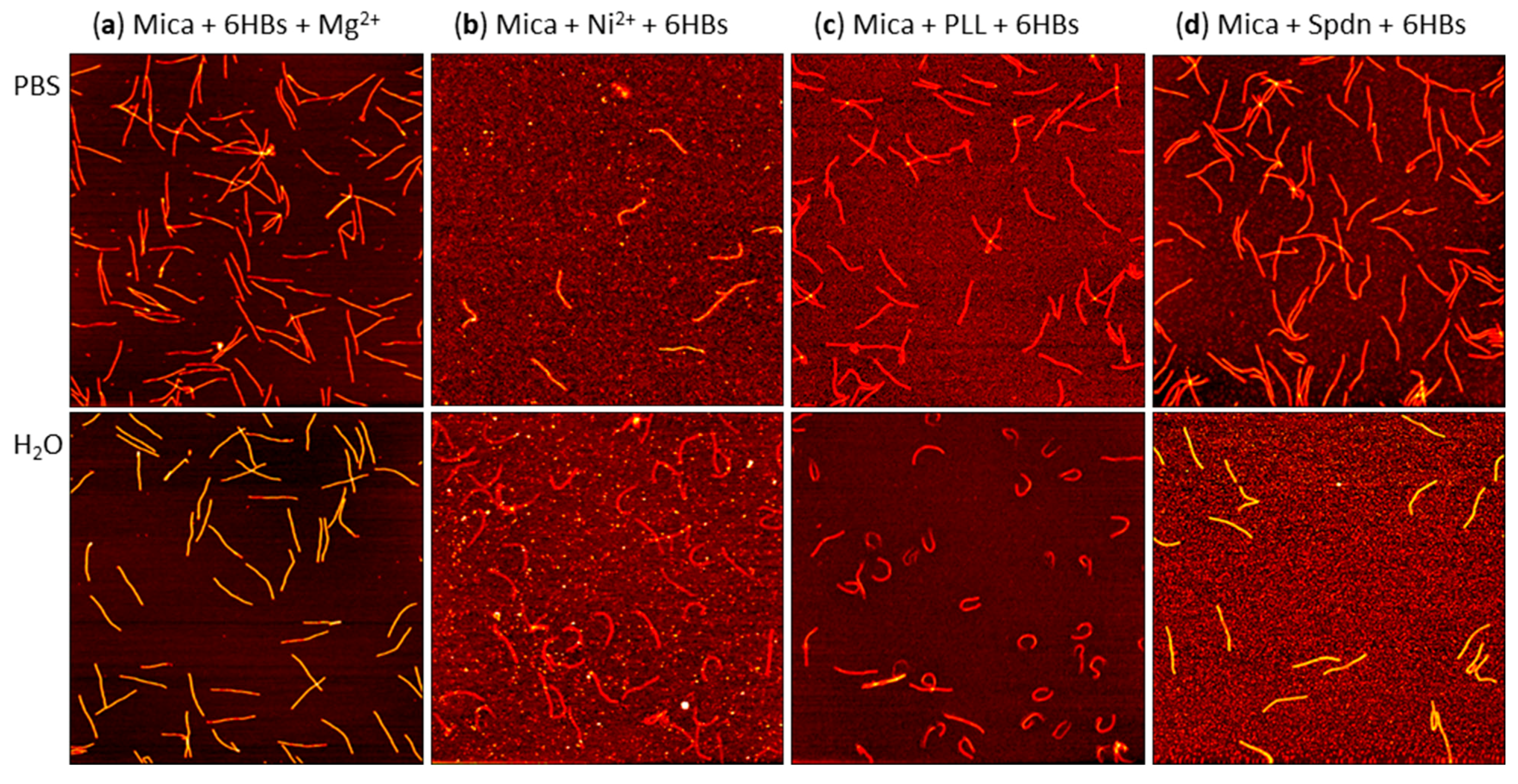 Molecules 26 04798 g008 550