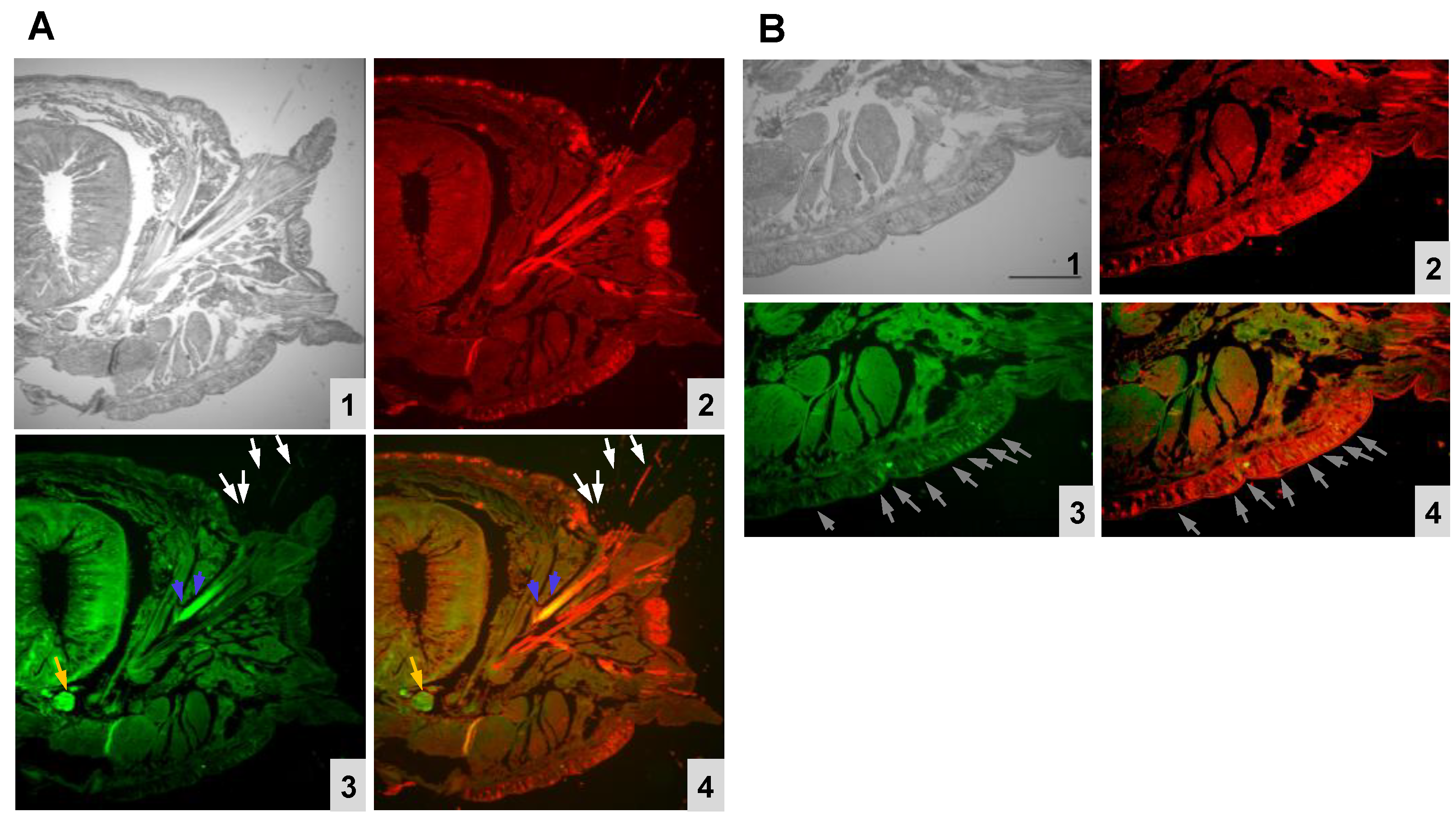 Molecules 26 04799 g003 Molecules 26 04799 g003