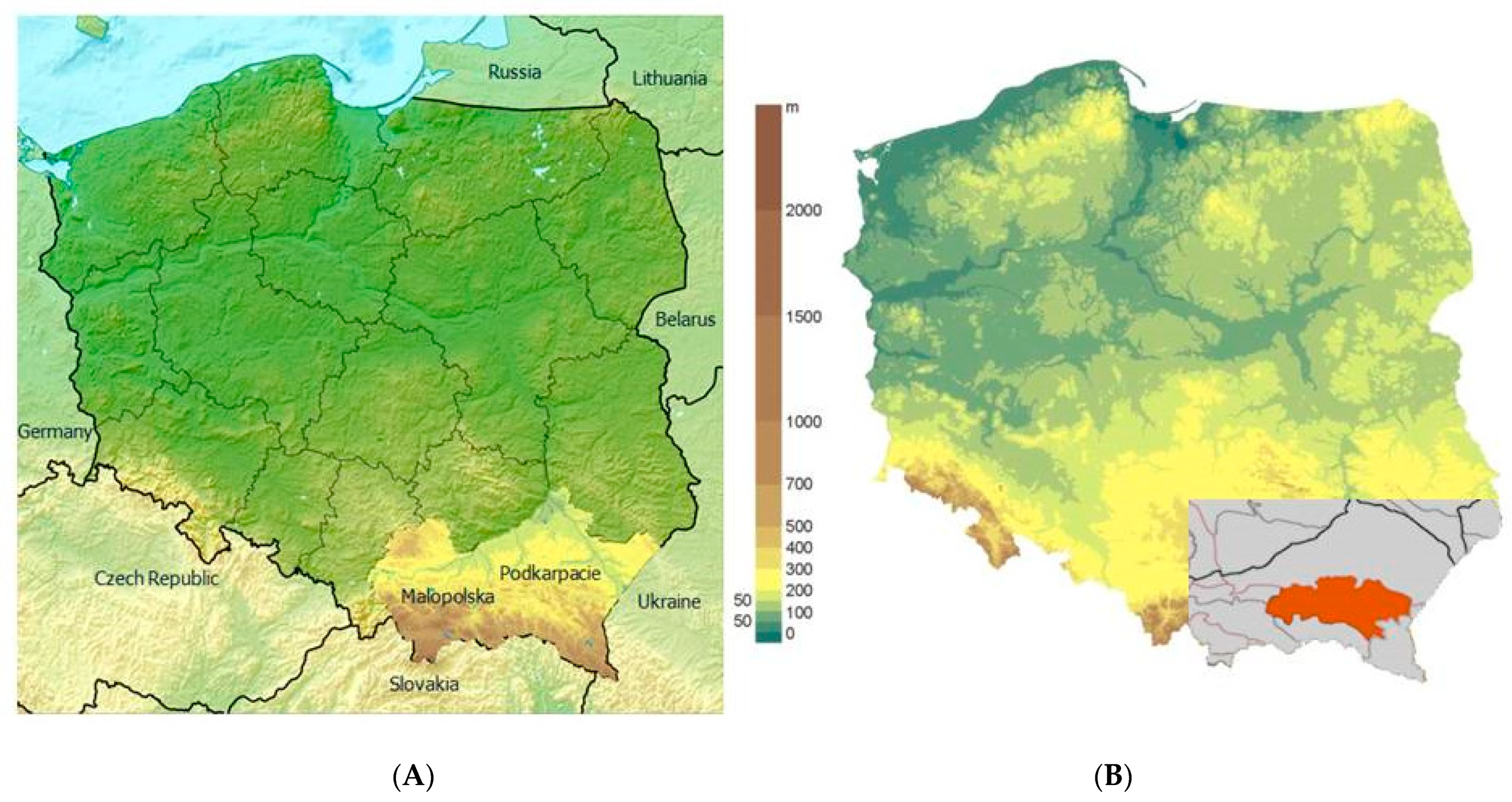 Molecules 26 04801 g004 Molecules 26 04801 g004