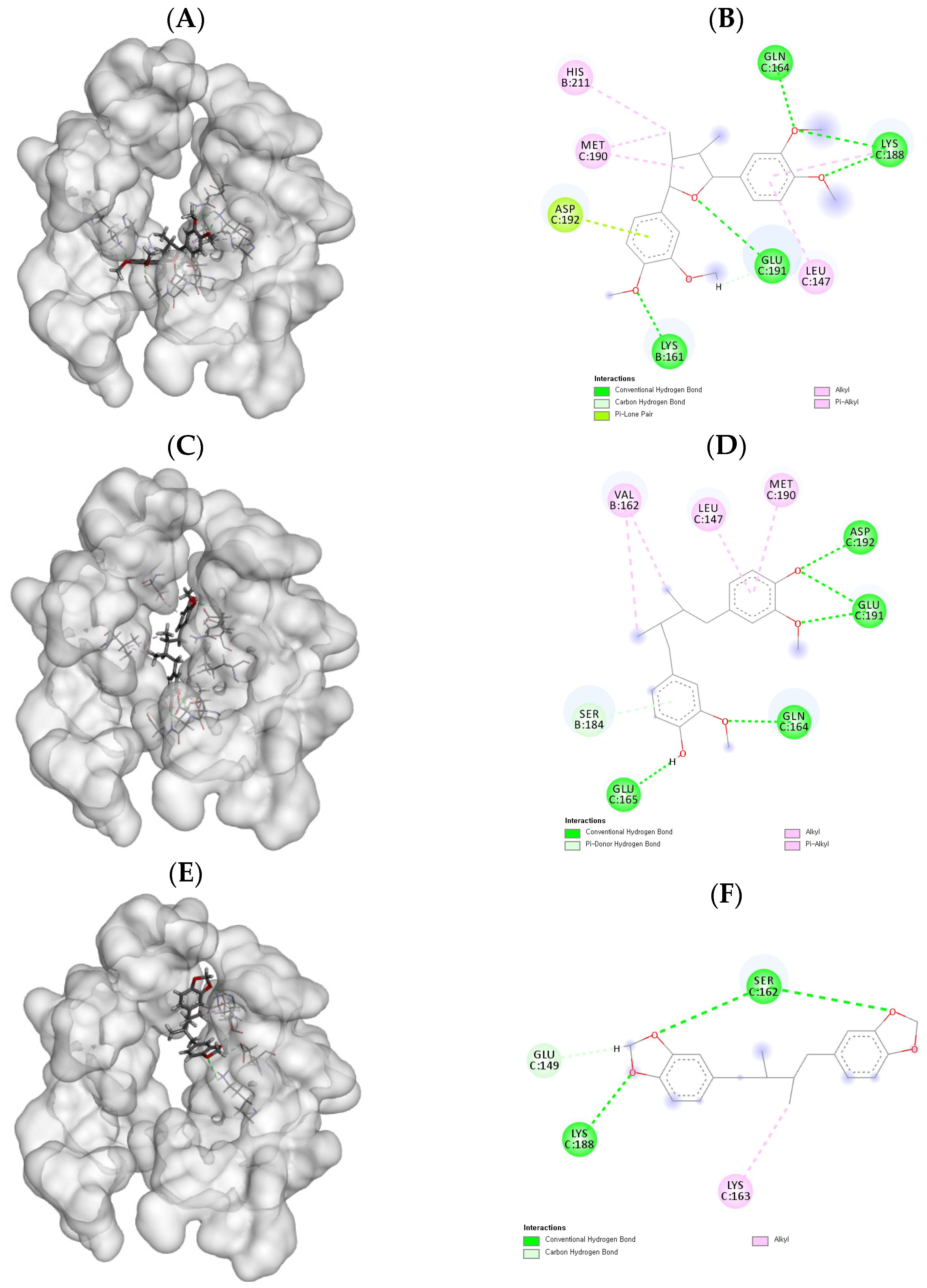 Molecules 26 04804 g002 Molecules 26 04804 g002