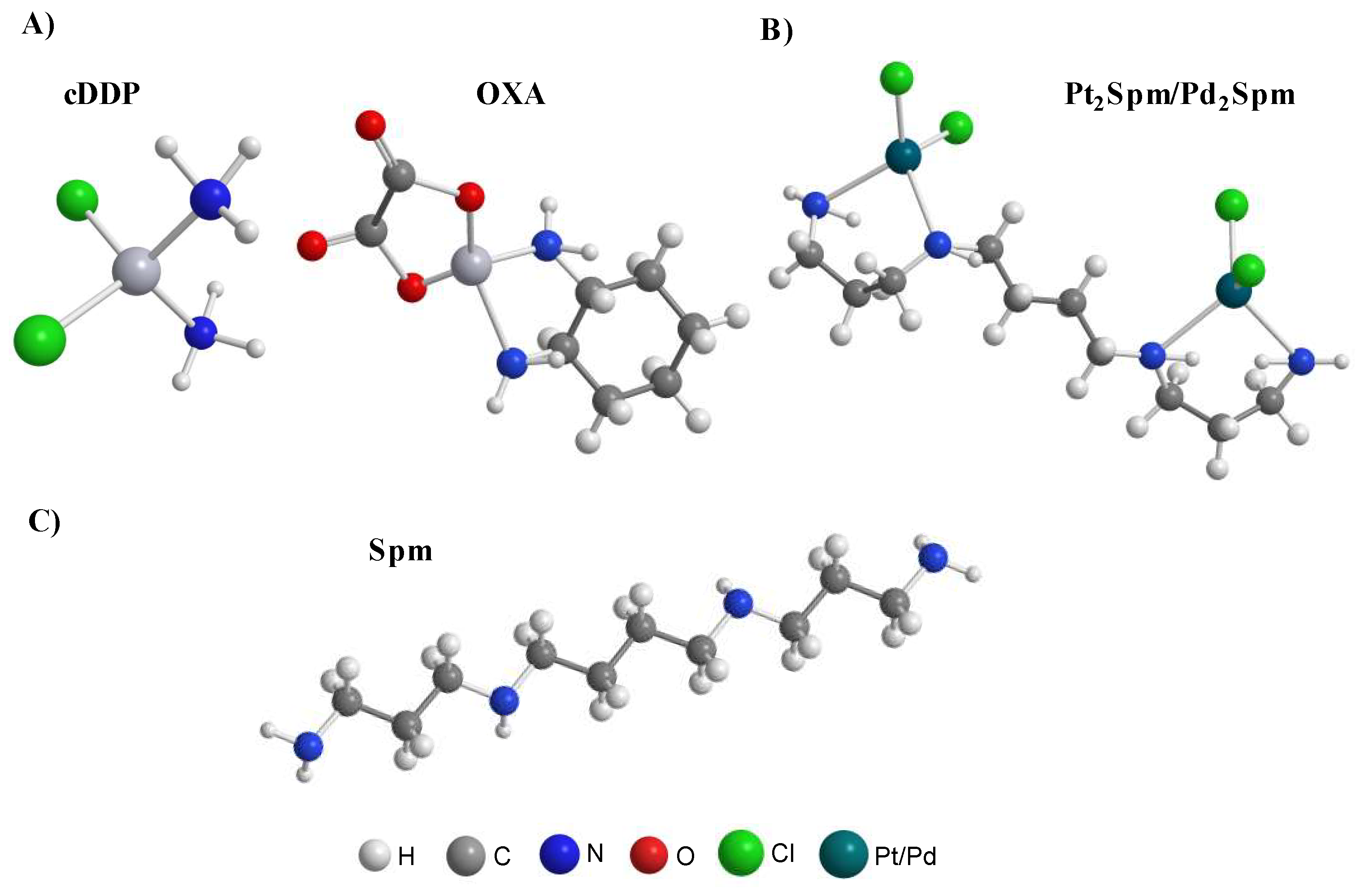 Molecules 26 04805 g001