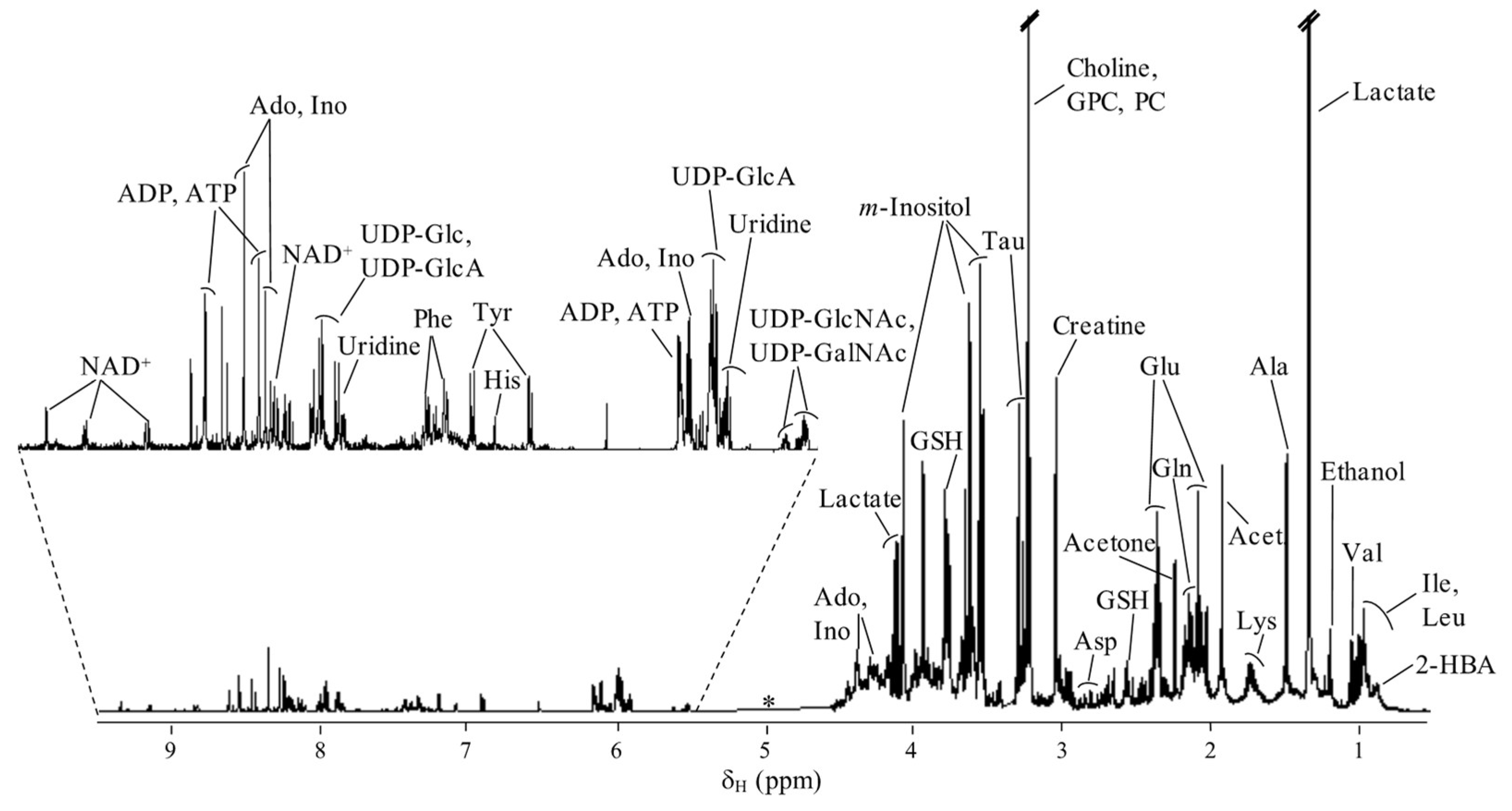 Molecules 26 04805 g002