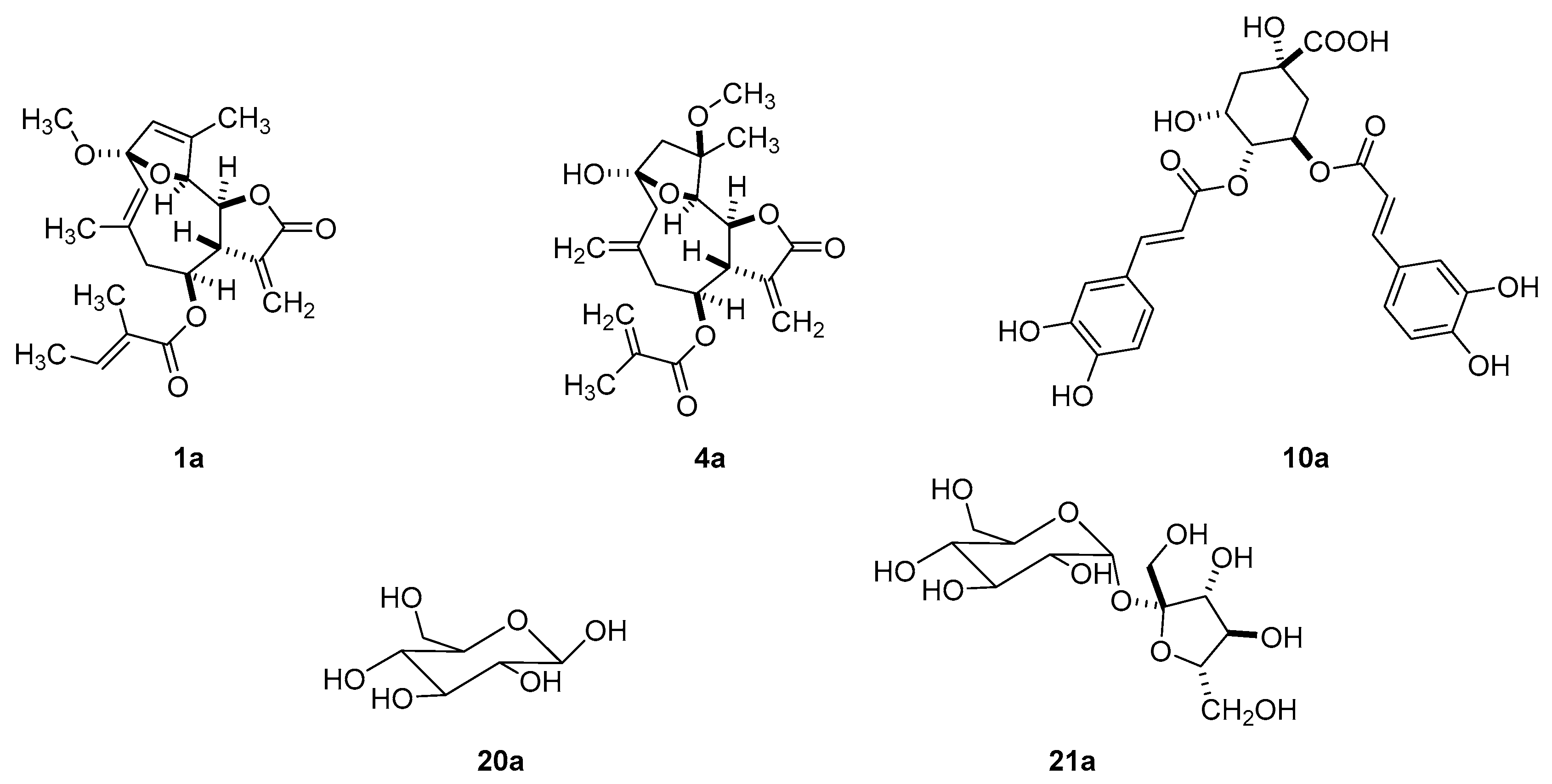 Molecules 26 04810 g002