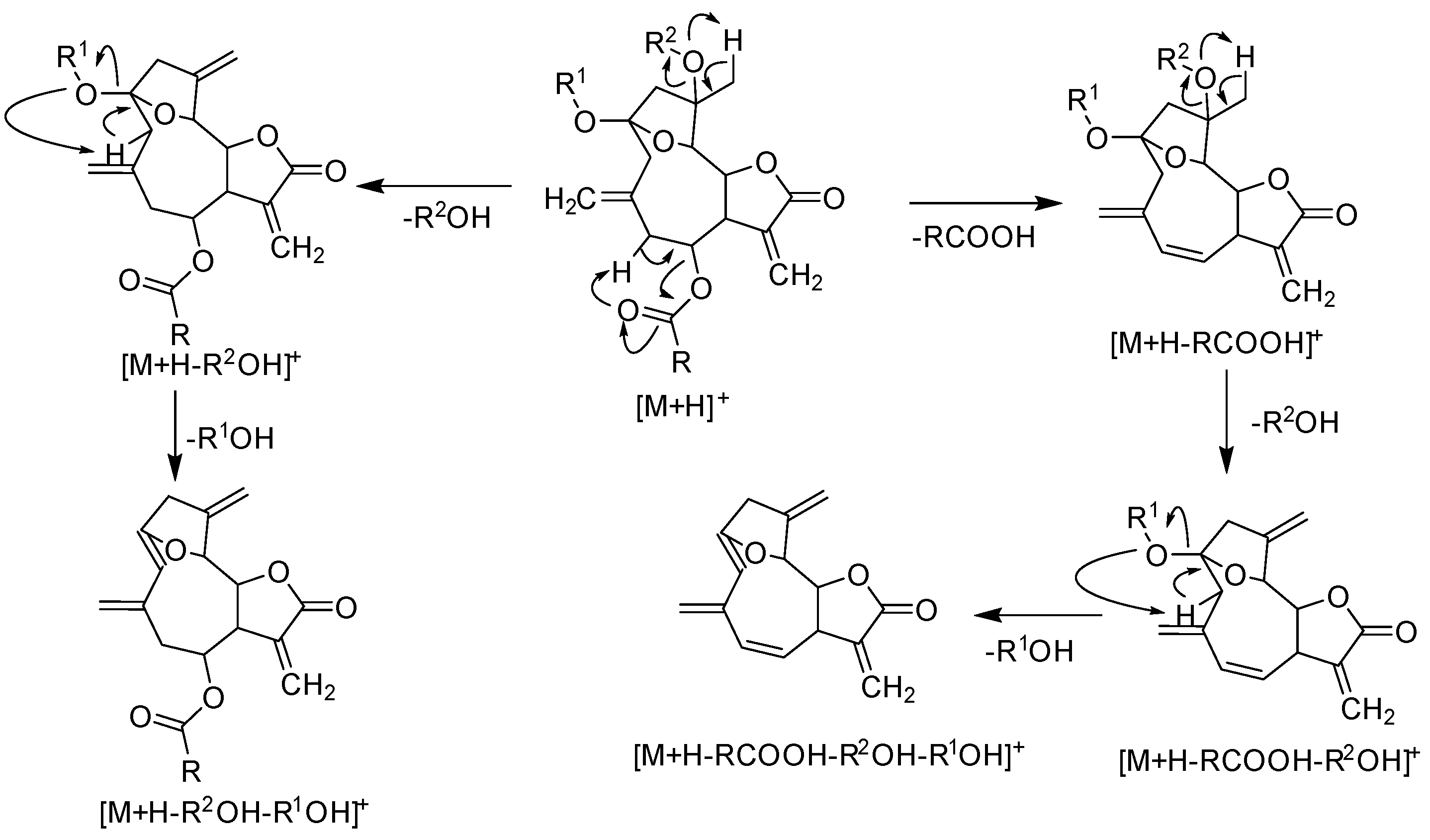 Molecules 26 04810 g003