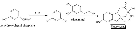 Molecules 26 04812 sch004 550