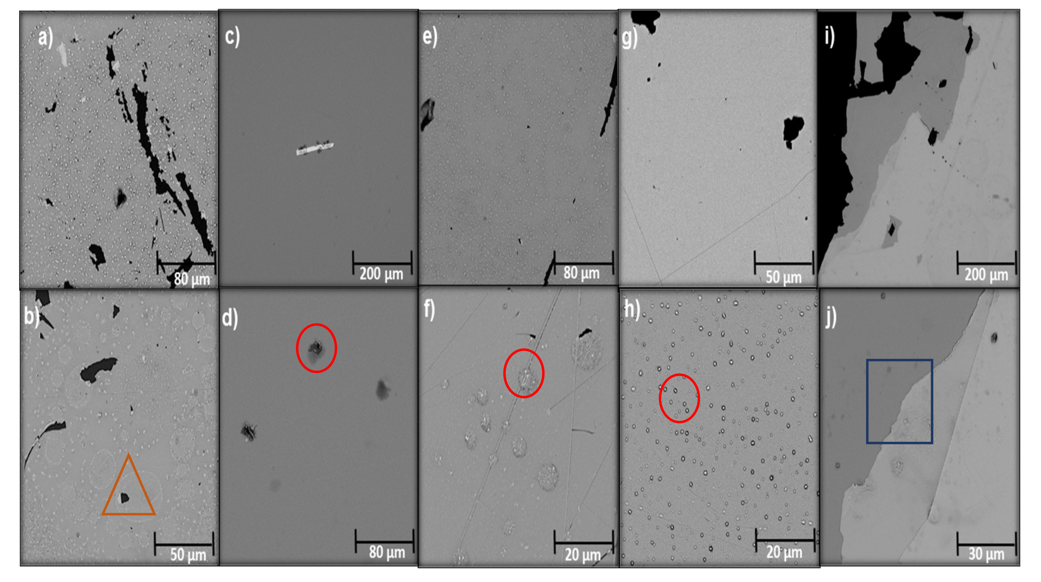 Molecules 26 04813 g001 Molecules 26 04813 g001