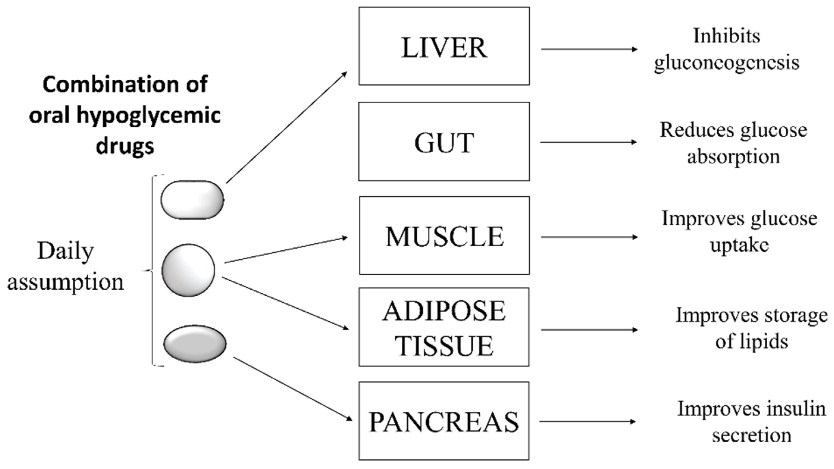 Molecules 26 04818 g002
