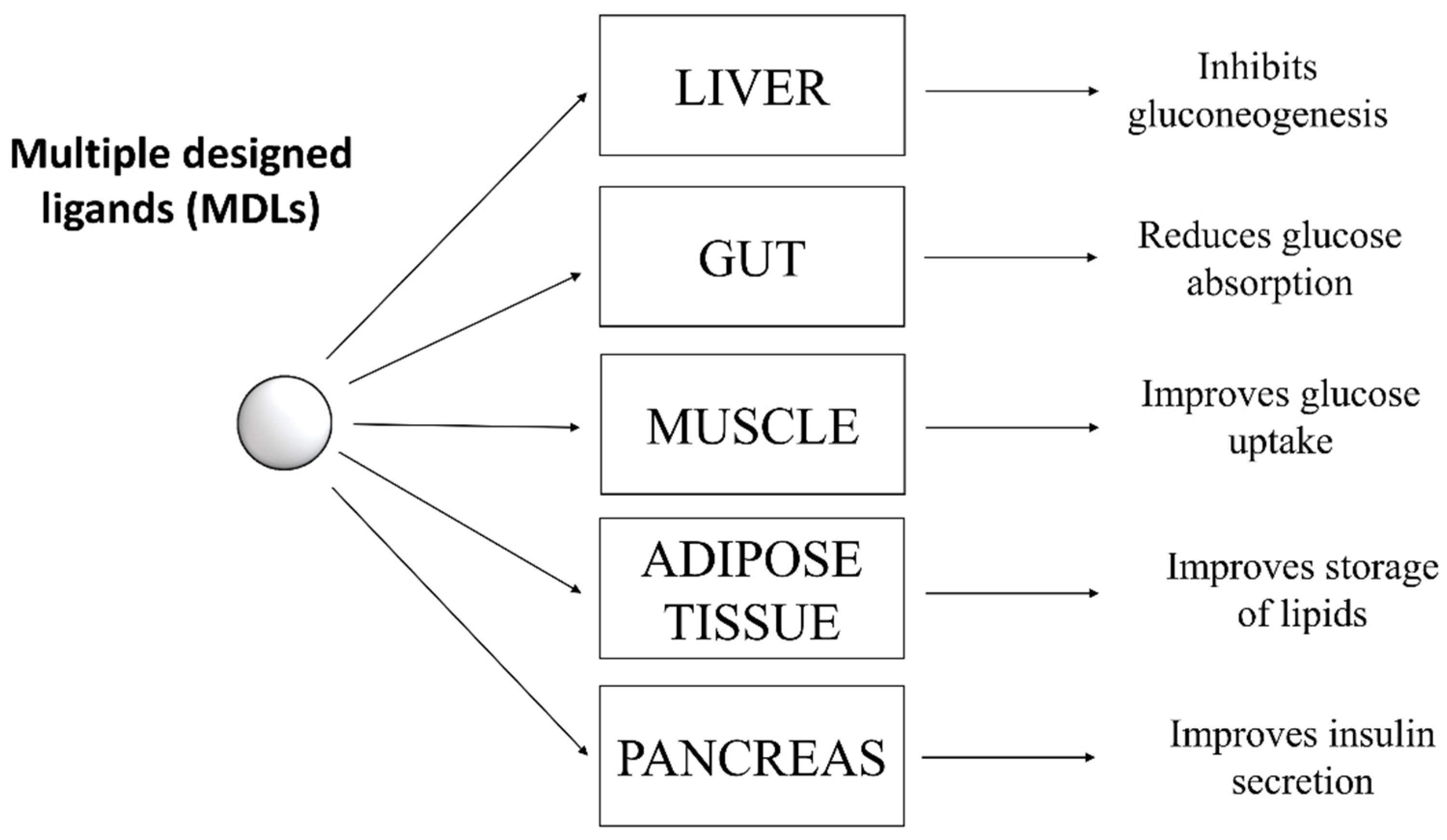 Molecules 26 04818 g003