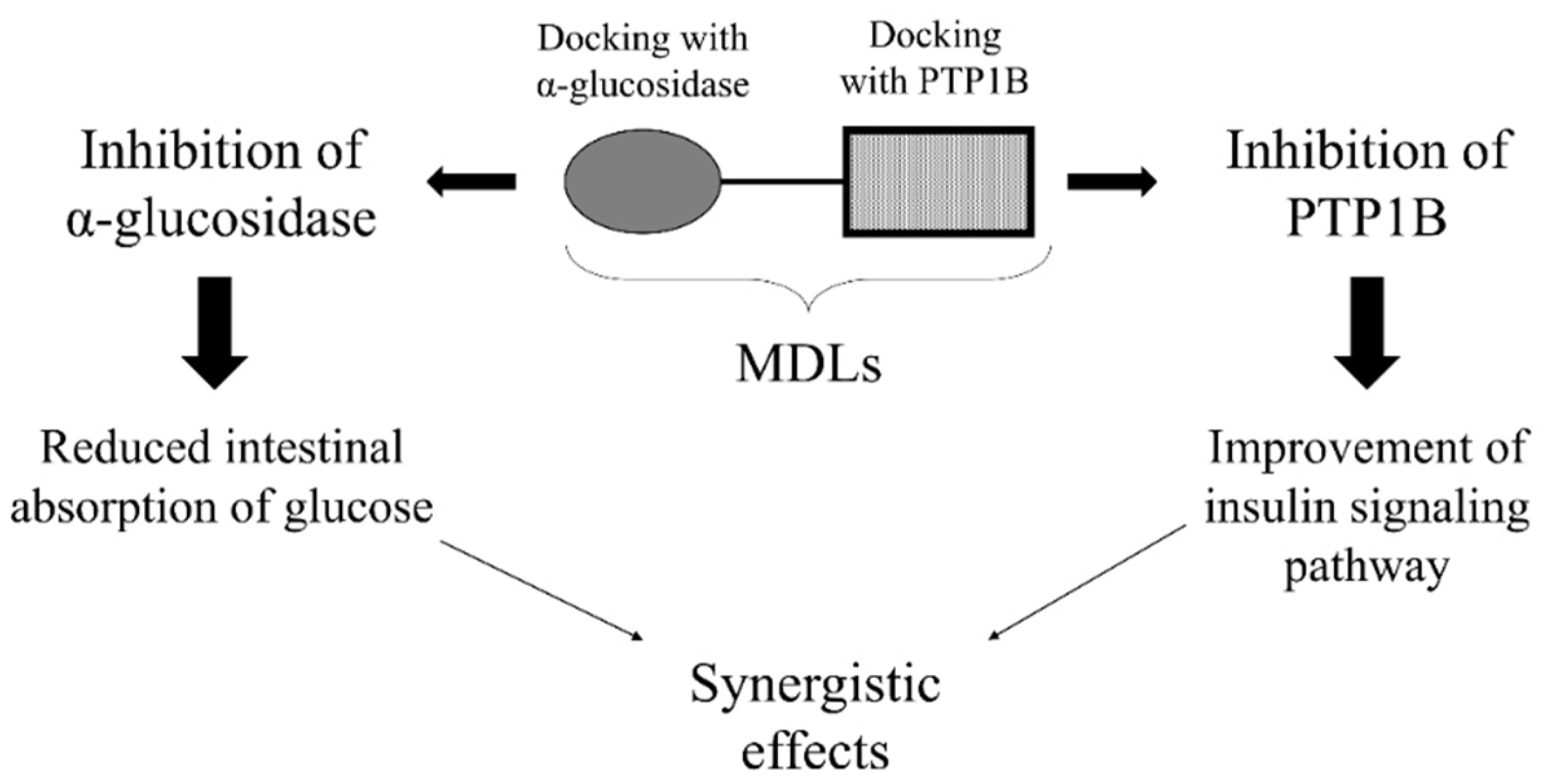 Molecules 26 04818 g004