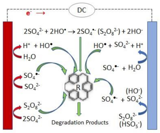 Molecules 26 04821 g001 550