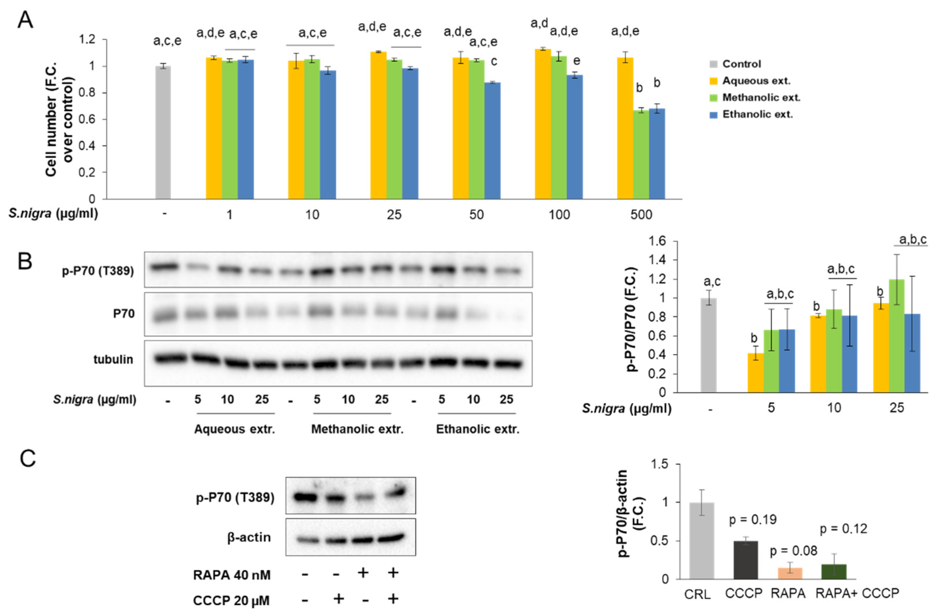 Molecules 26 04829 g002
