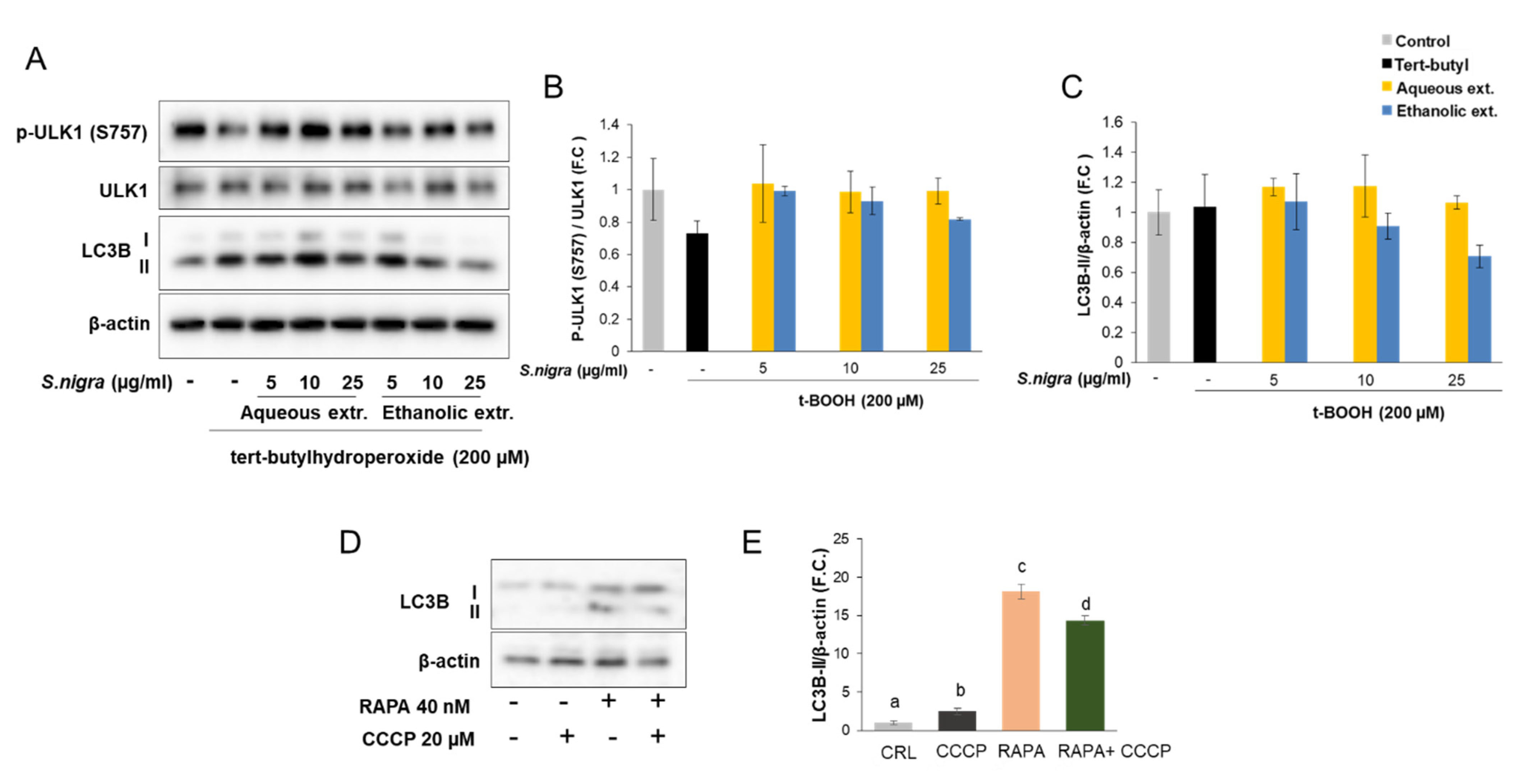 Molecules 26 04829 g006