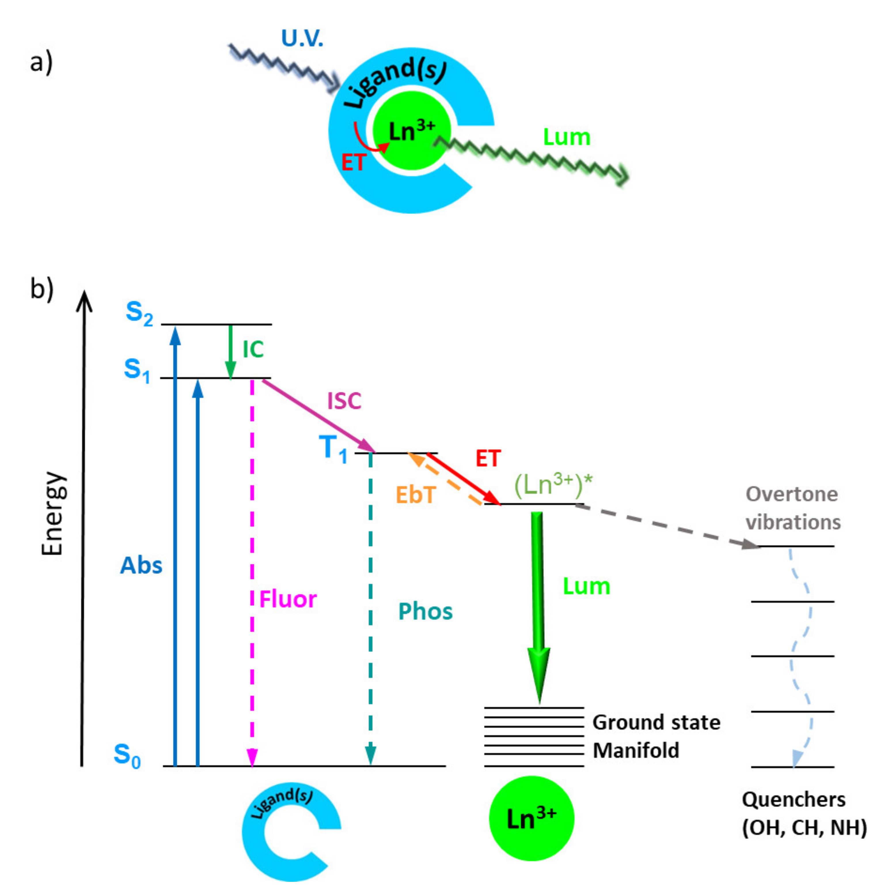 Molecules 26 04834 g002