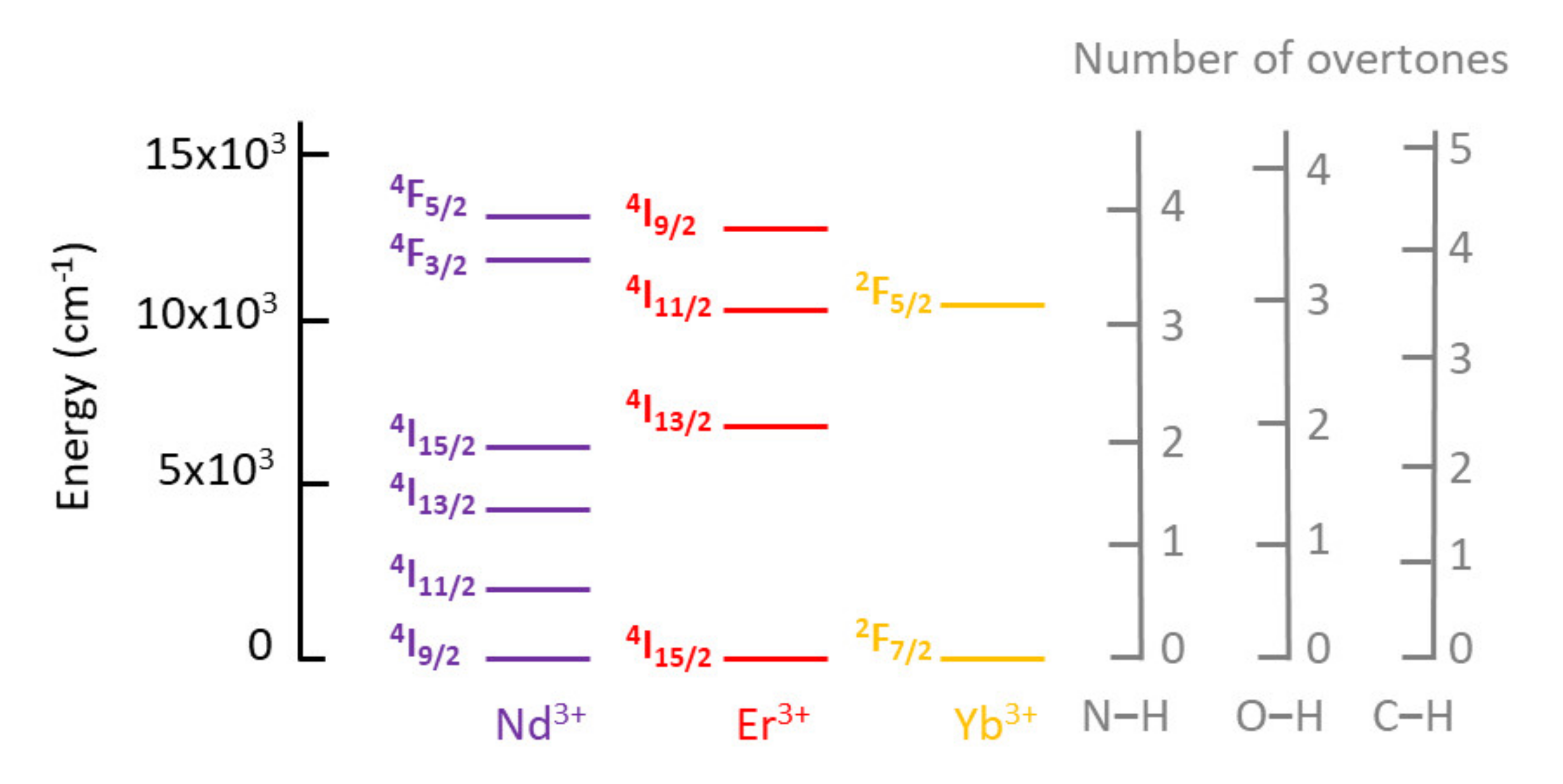 Molecules 26 04834 g003