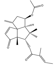Molecules 26 04835 i026 Molecules 26 04835 i026