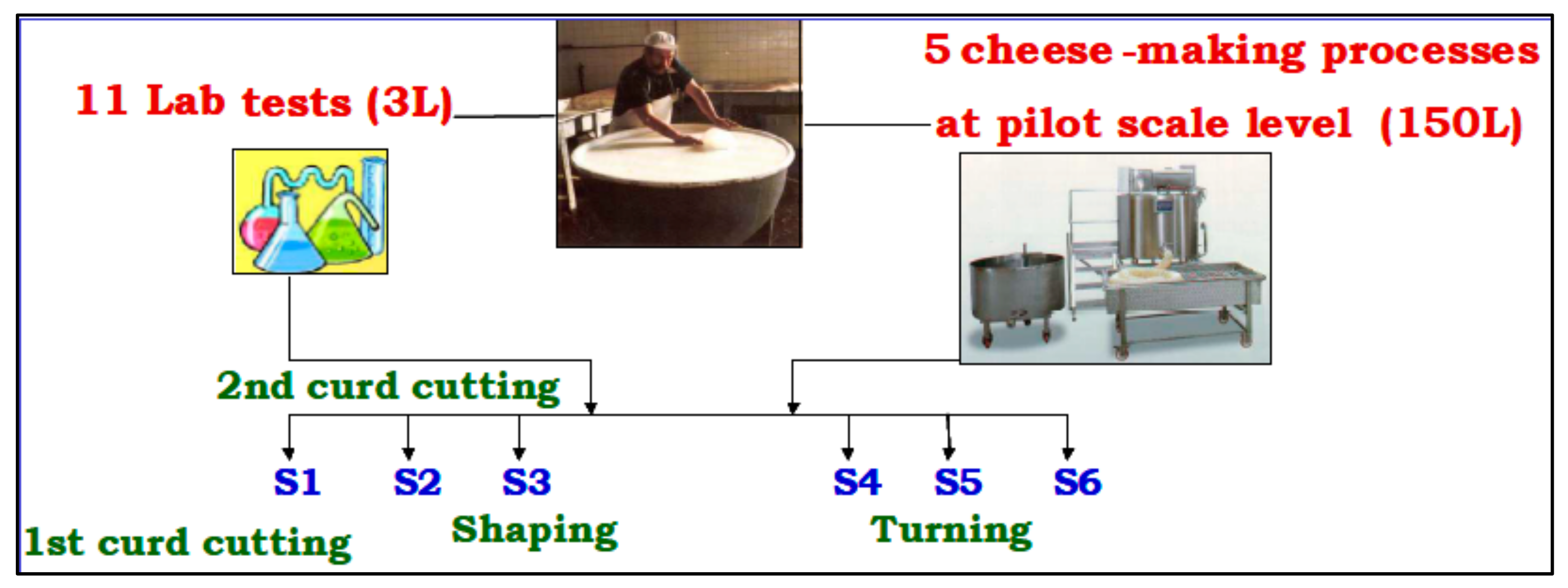 Molecules 26 04839 g005 550