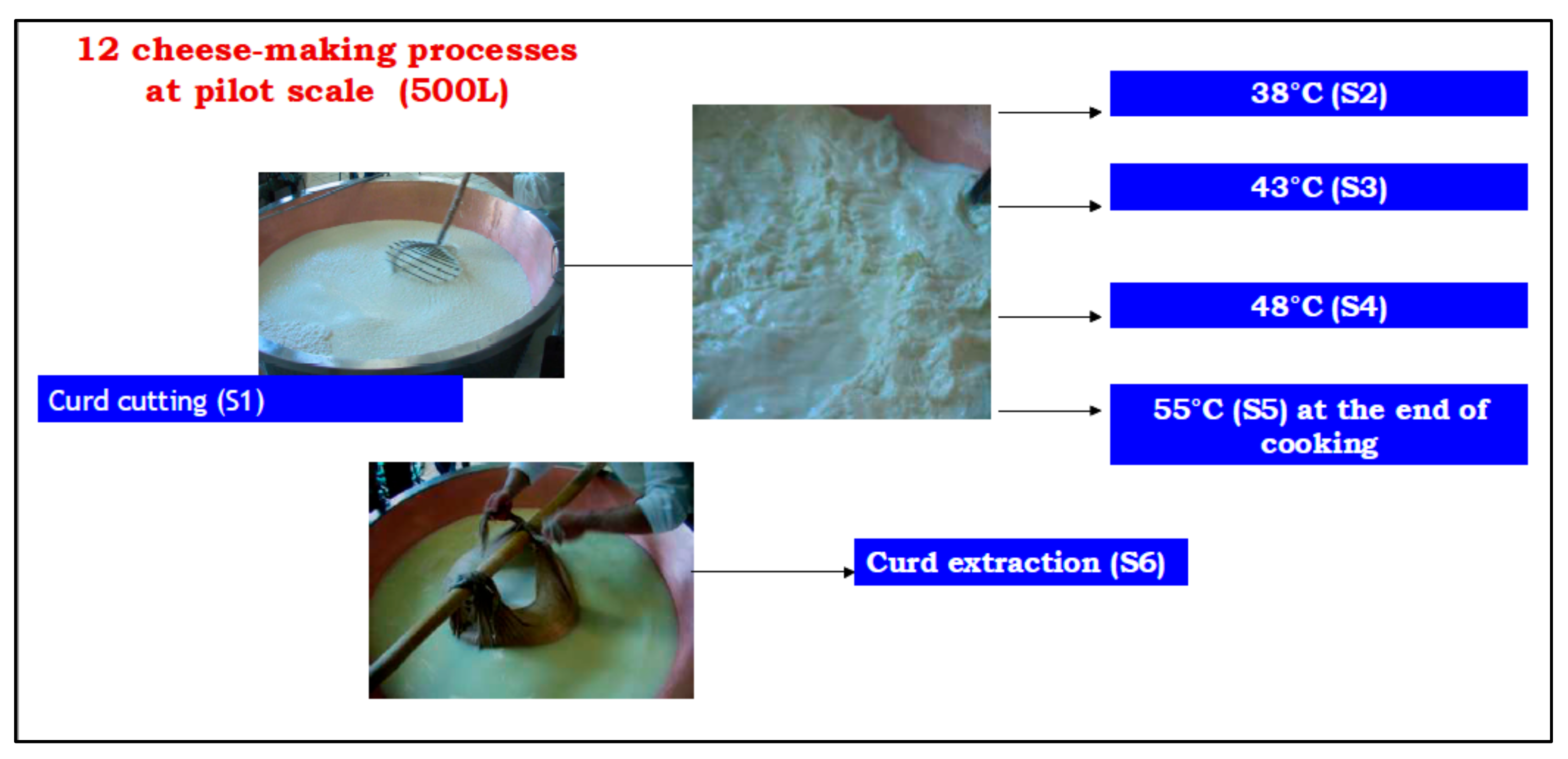 Molecules 26 04839 g006 550