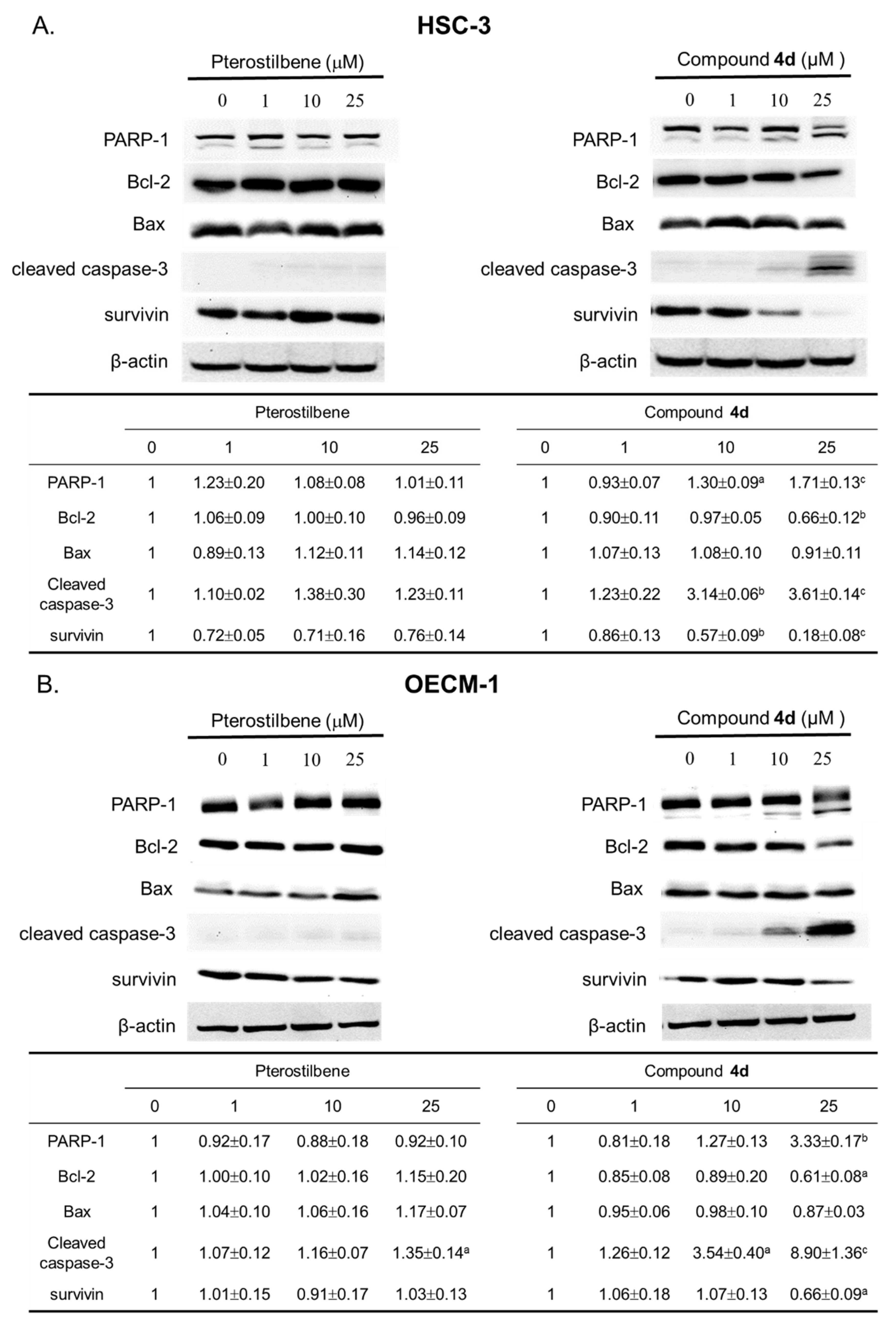Molecules 26 04840 g008 550