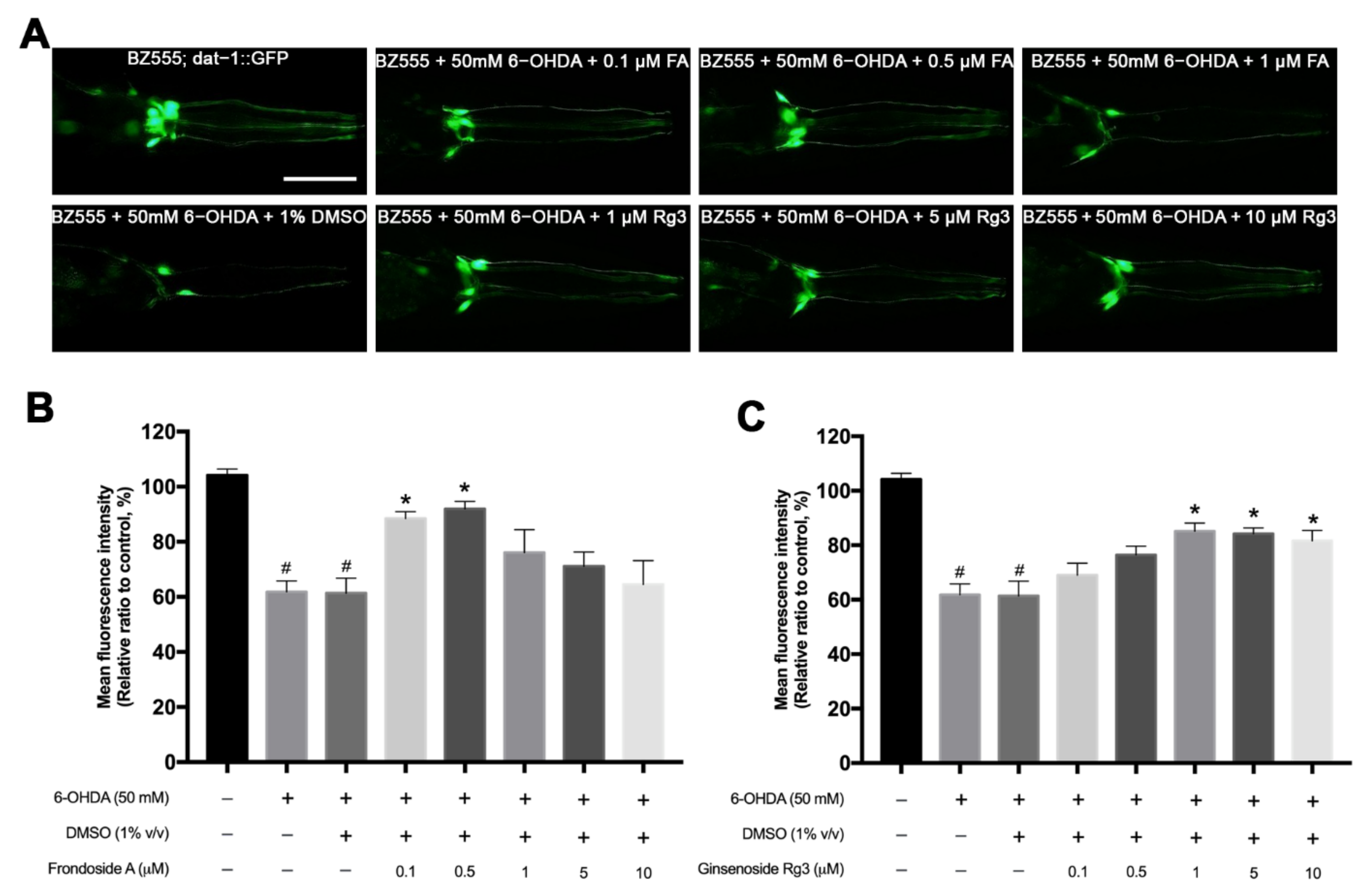 Molecules 26 04843 g003 Molecules 26 04843 g003