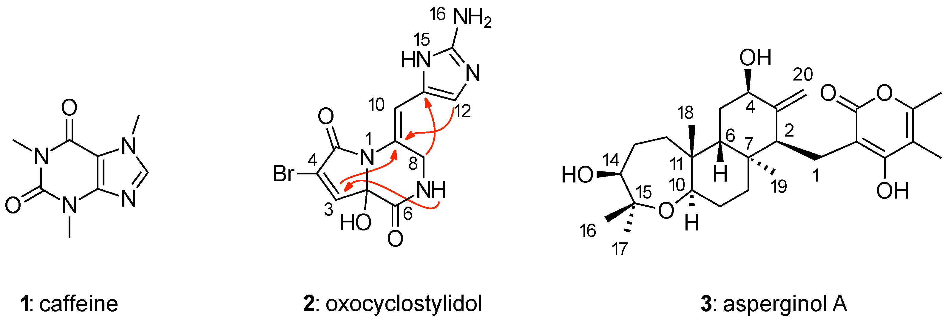 Molecules 26 04846 g002
