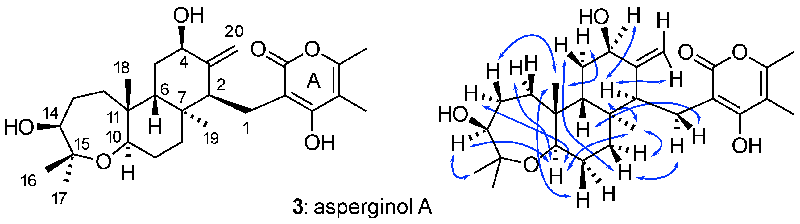 Molecules 26 04846 g005