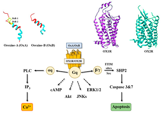 Molecules 26 04849 g001 550